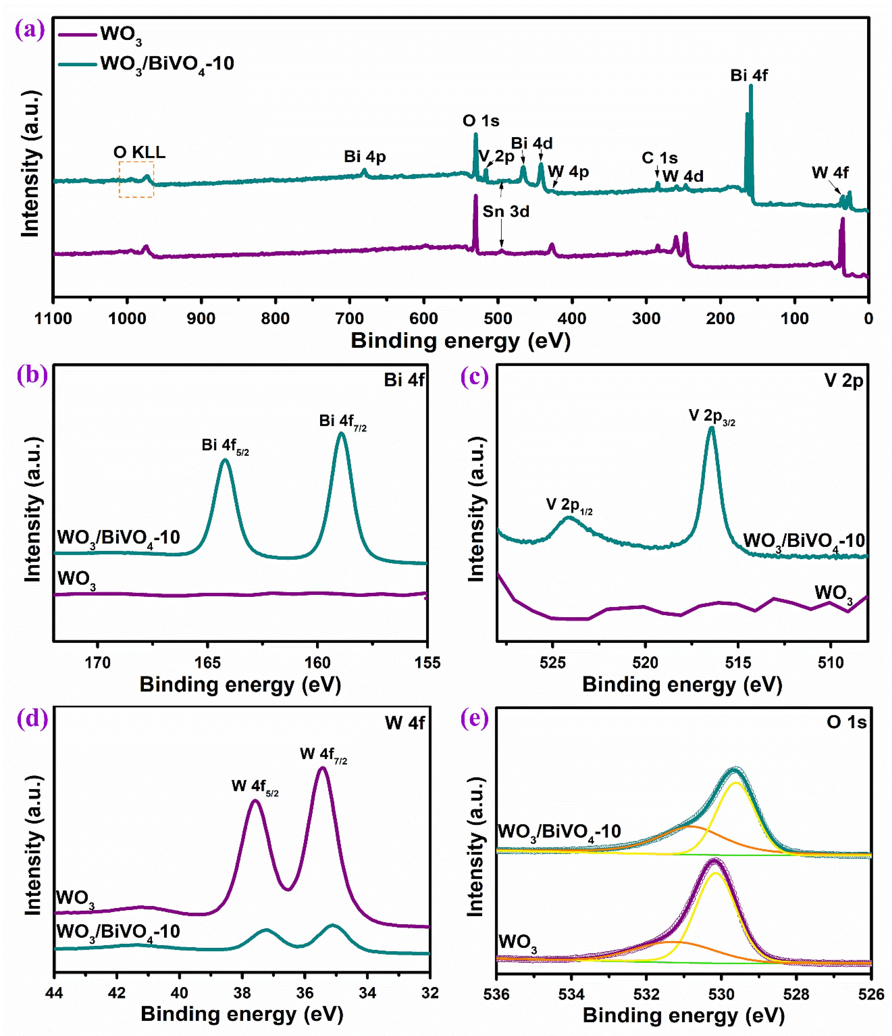 Molecules 29 00372 g007