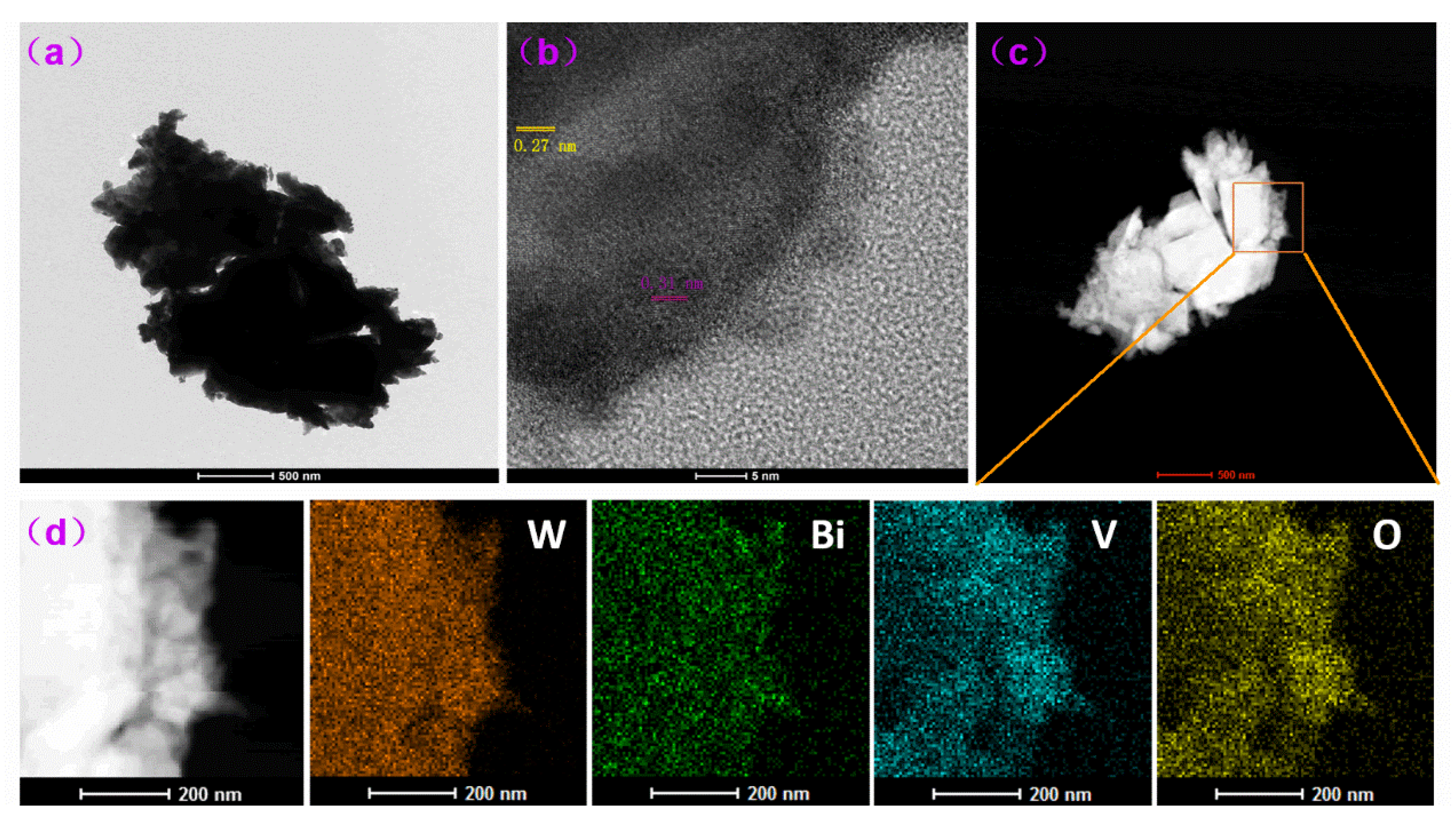 Molecules 29 00372 g008
