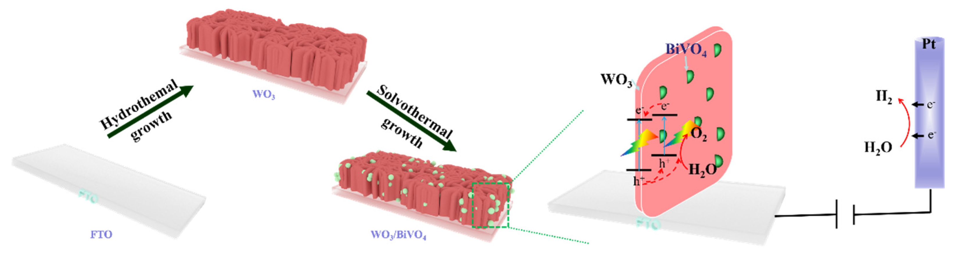 Molecules 29 00372 g011