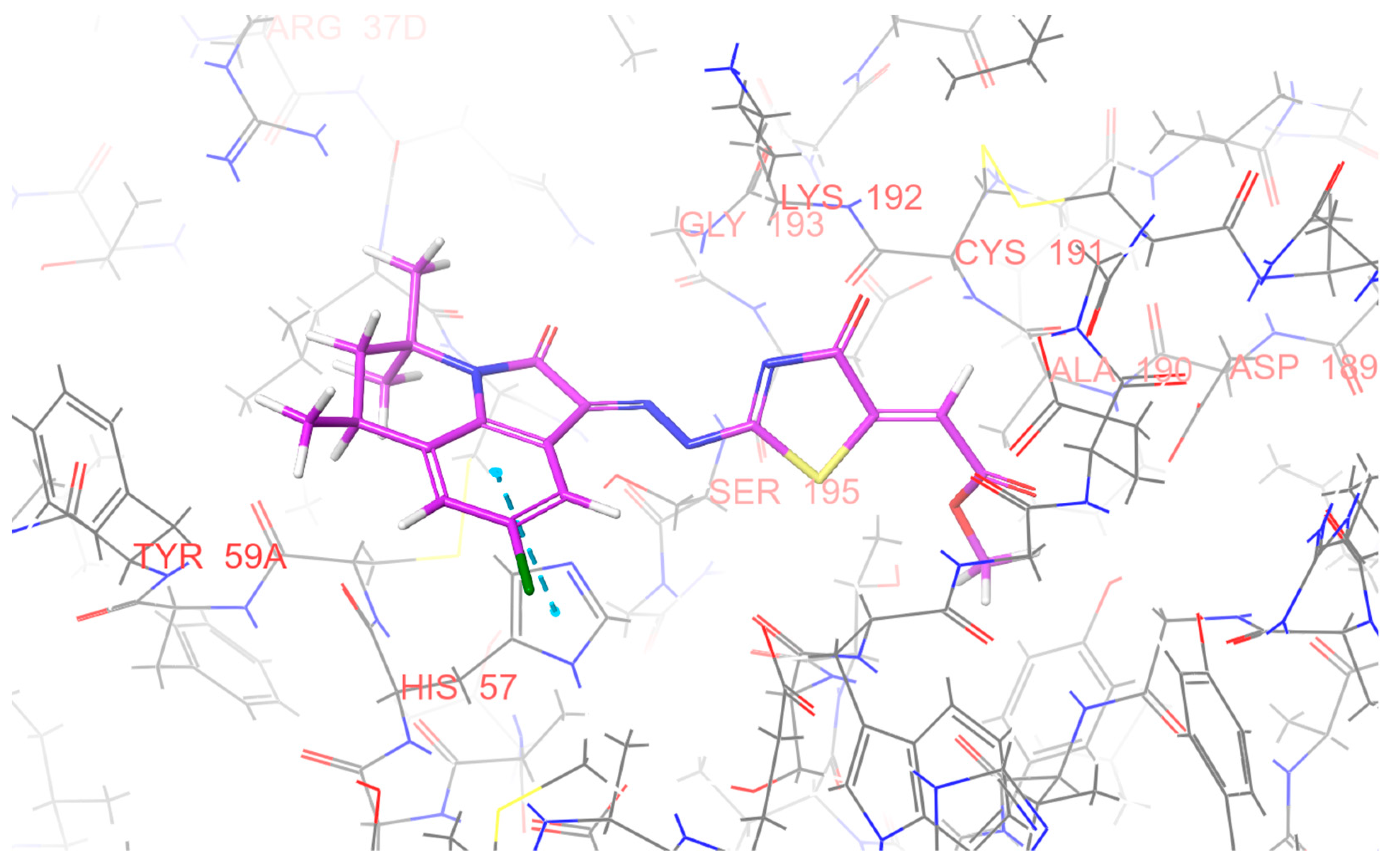 Molecules 29 00373 g004