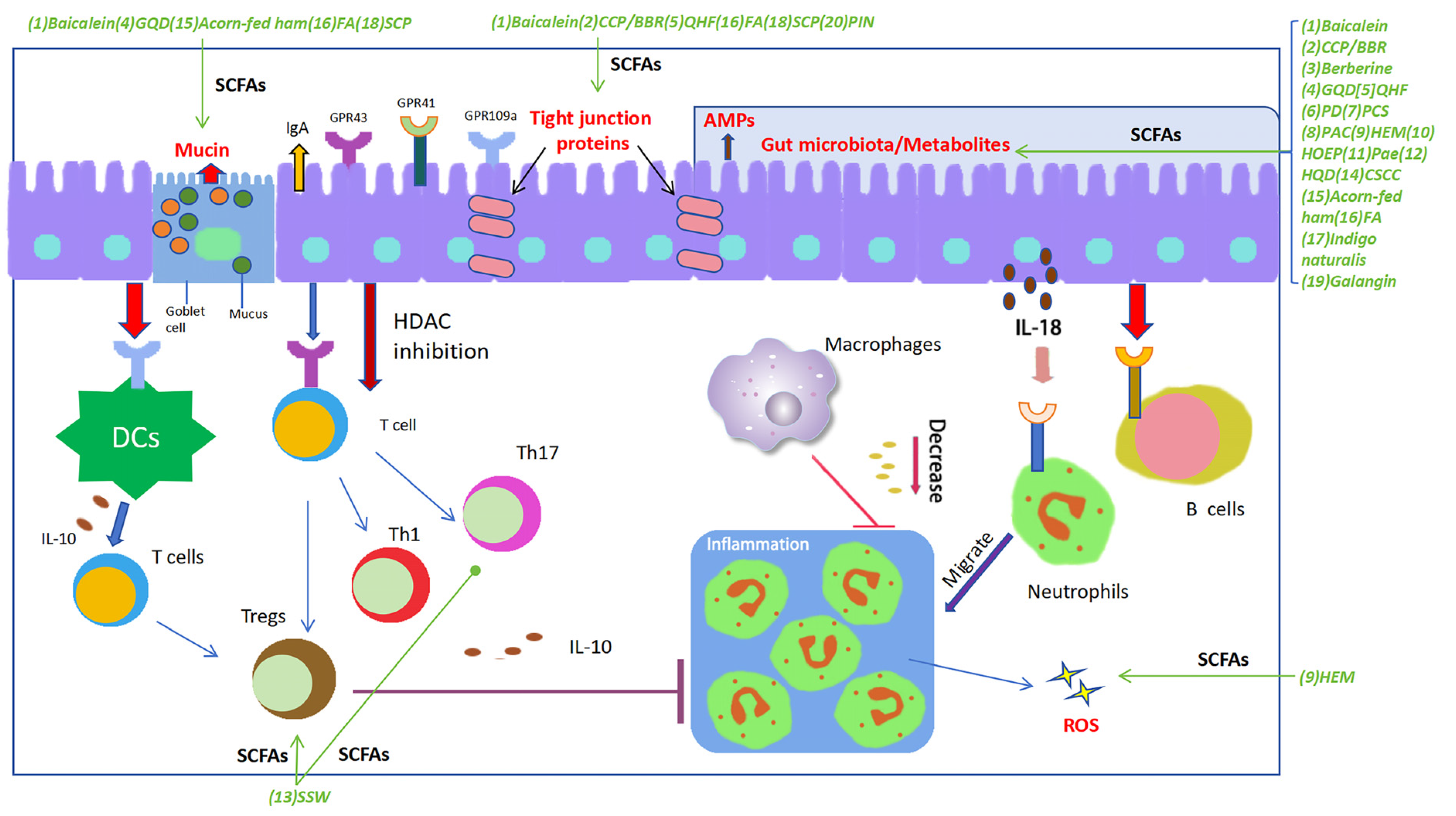 Molecules 29 00379 g001