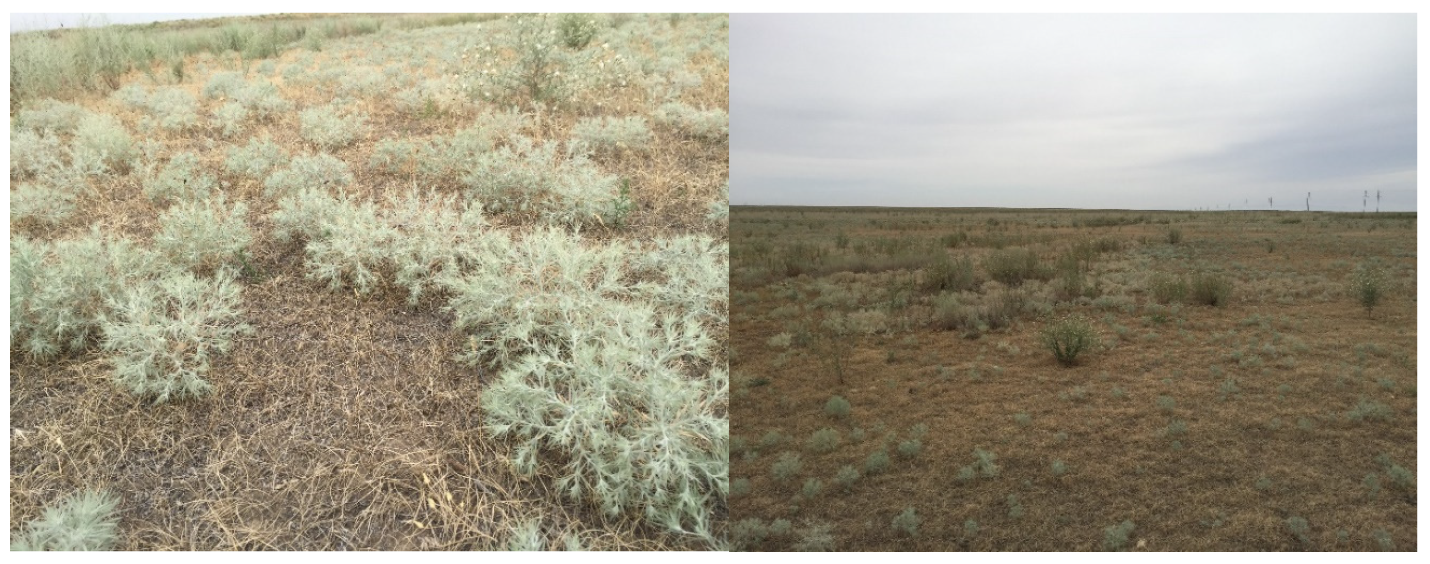 Molecules 29 00384 g001