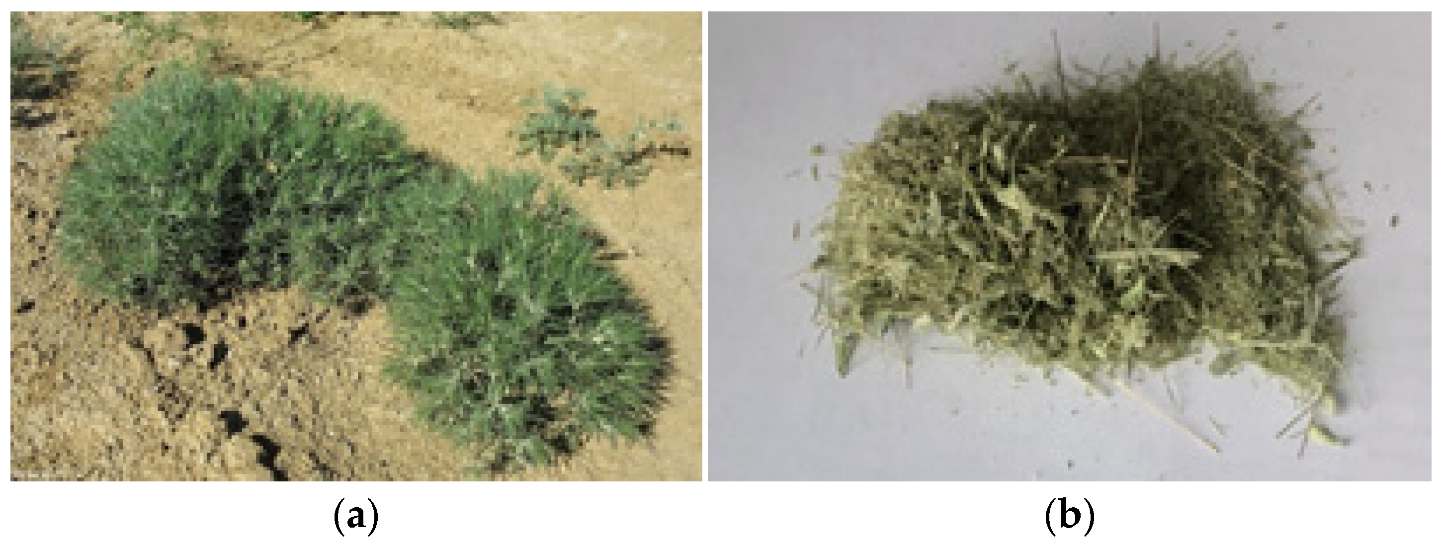 Molecules 29 00384 g008