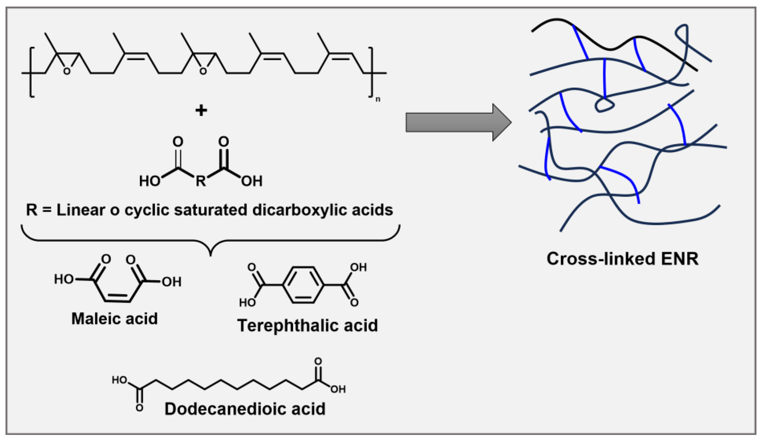 Molecules 29 00387 g001