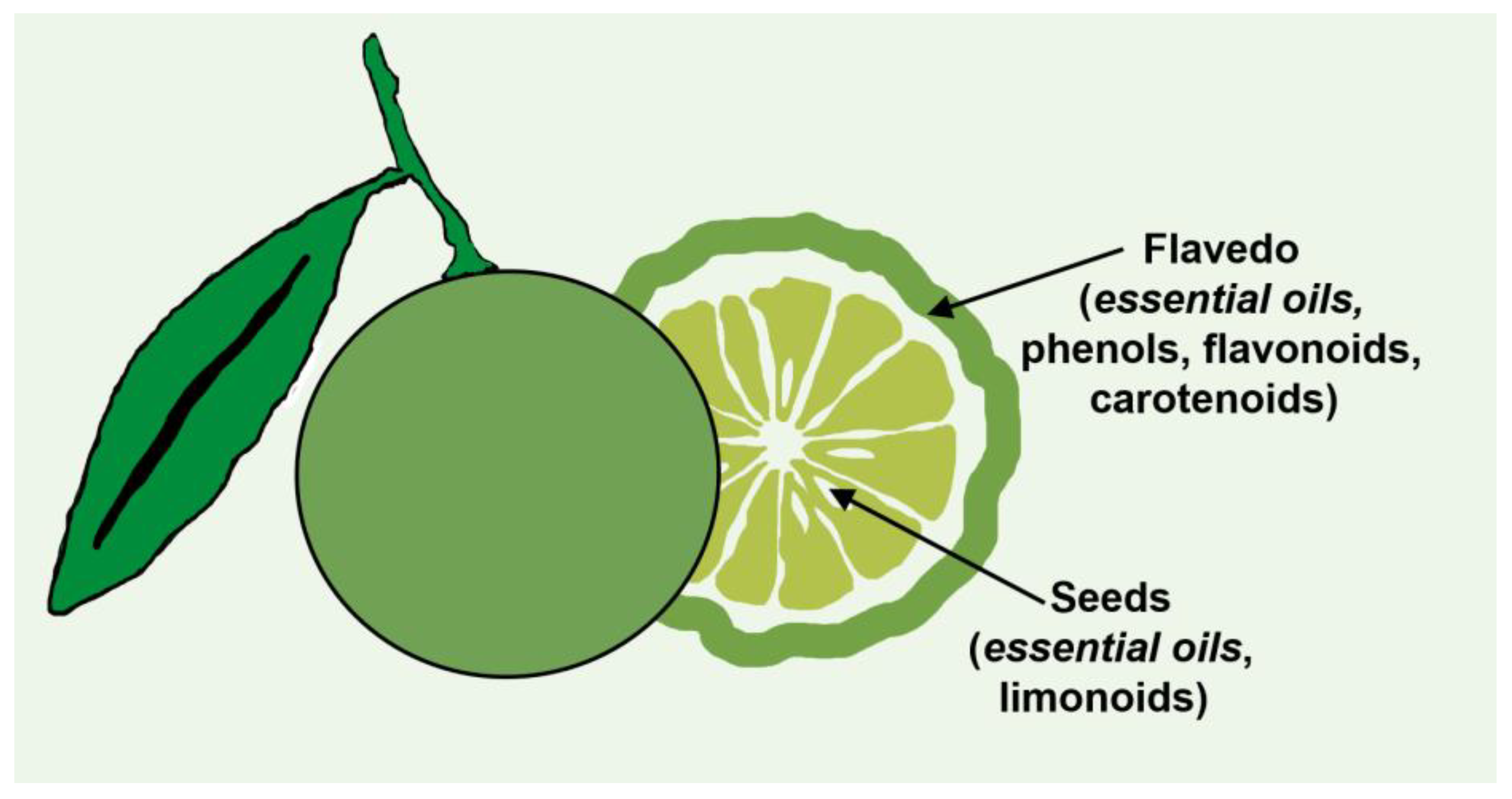 Molecules 29 00387 g002