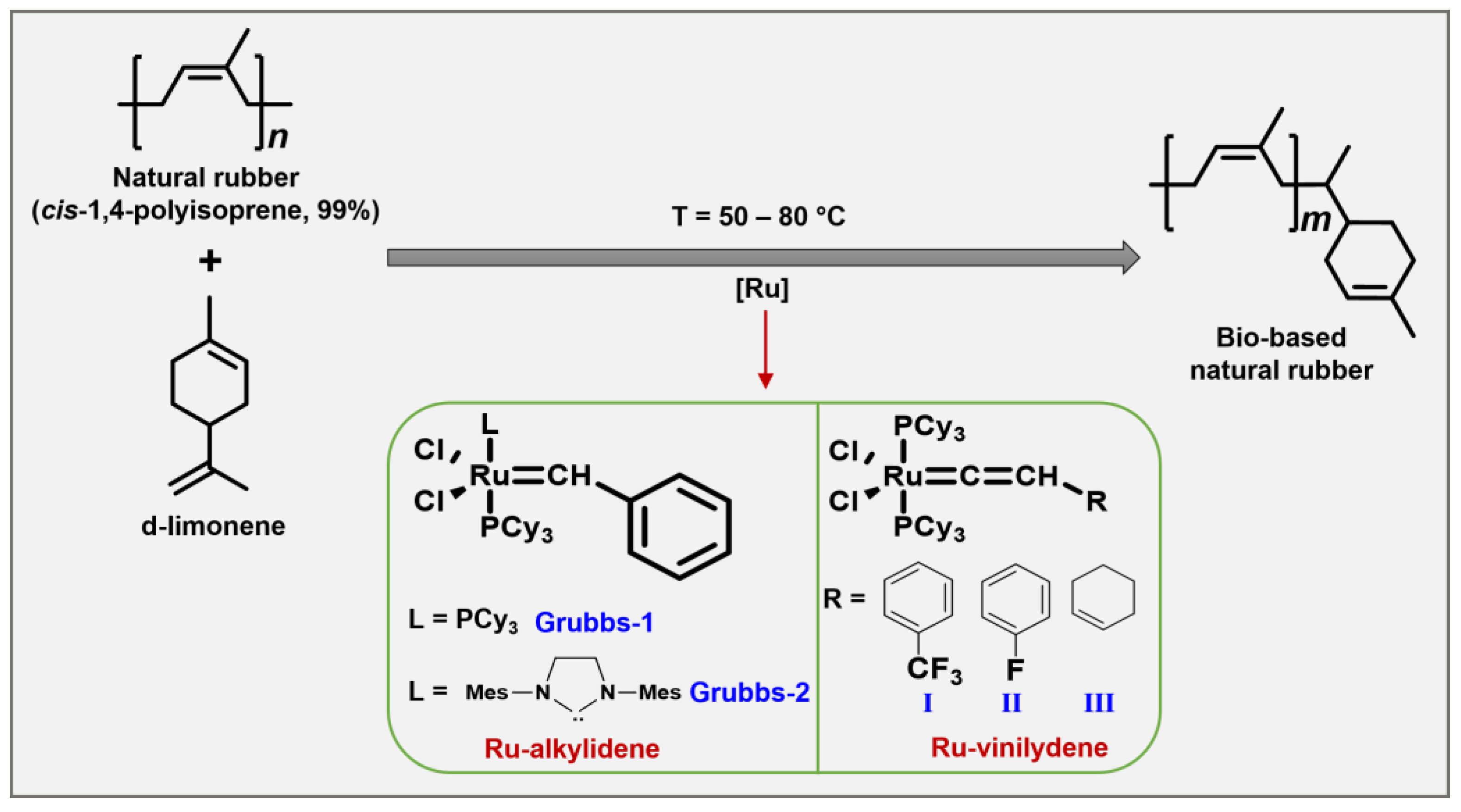 Molecules 29 00387 g003