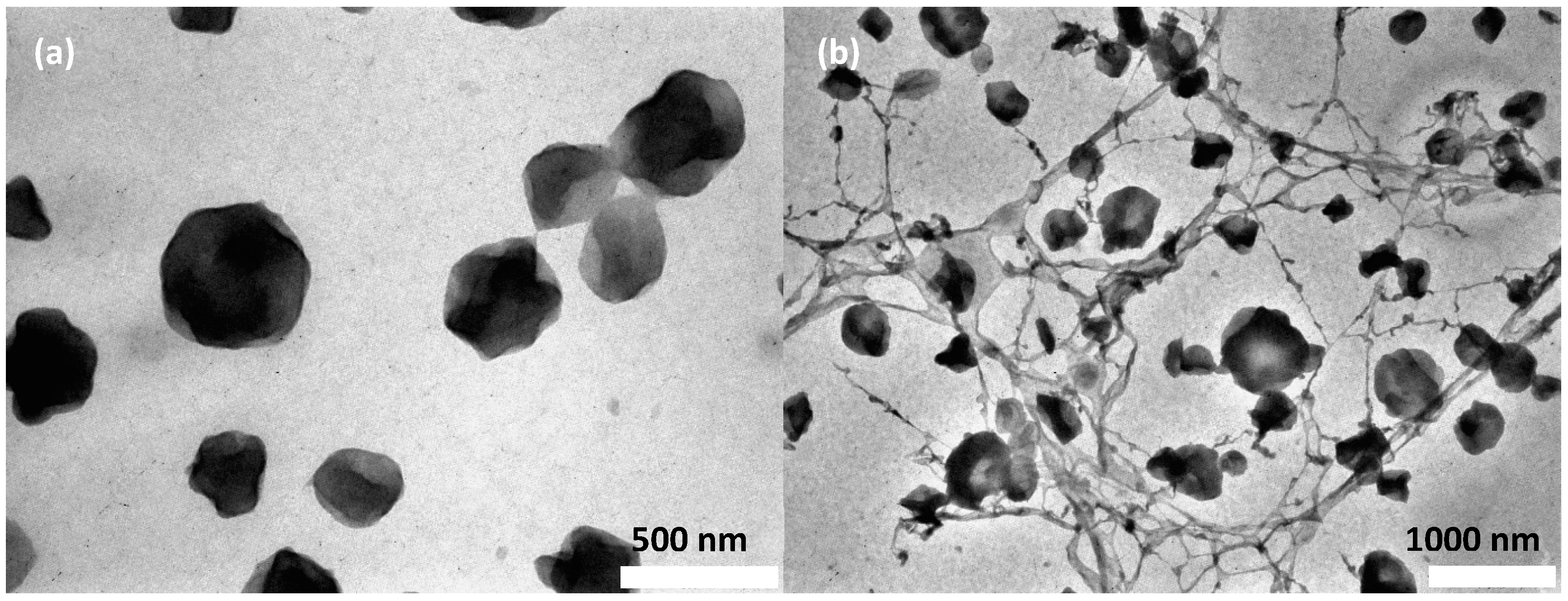 Molecules 29 00390 g007