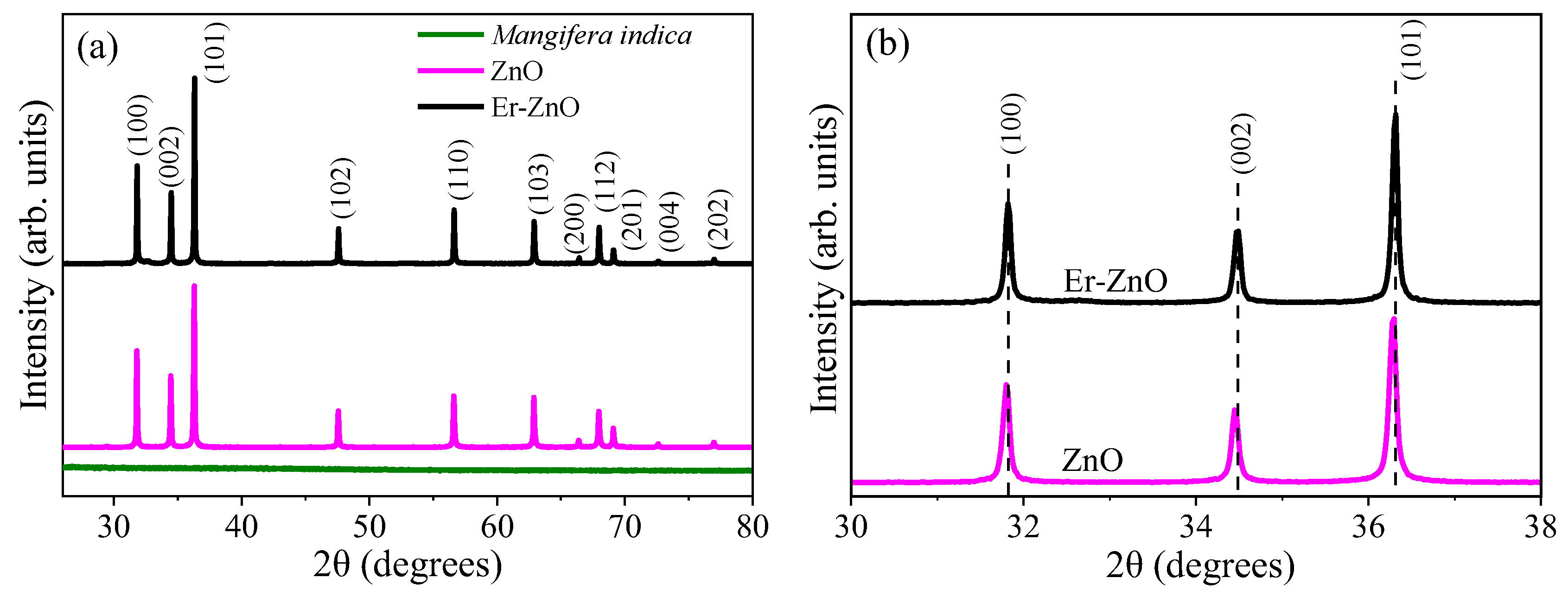 Molecules 29 00391 g001