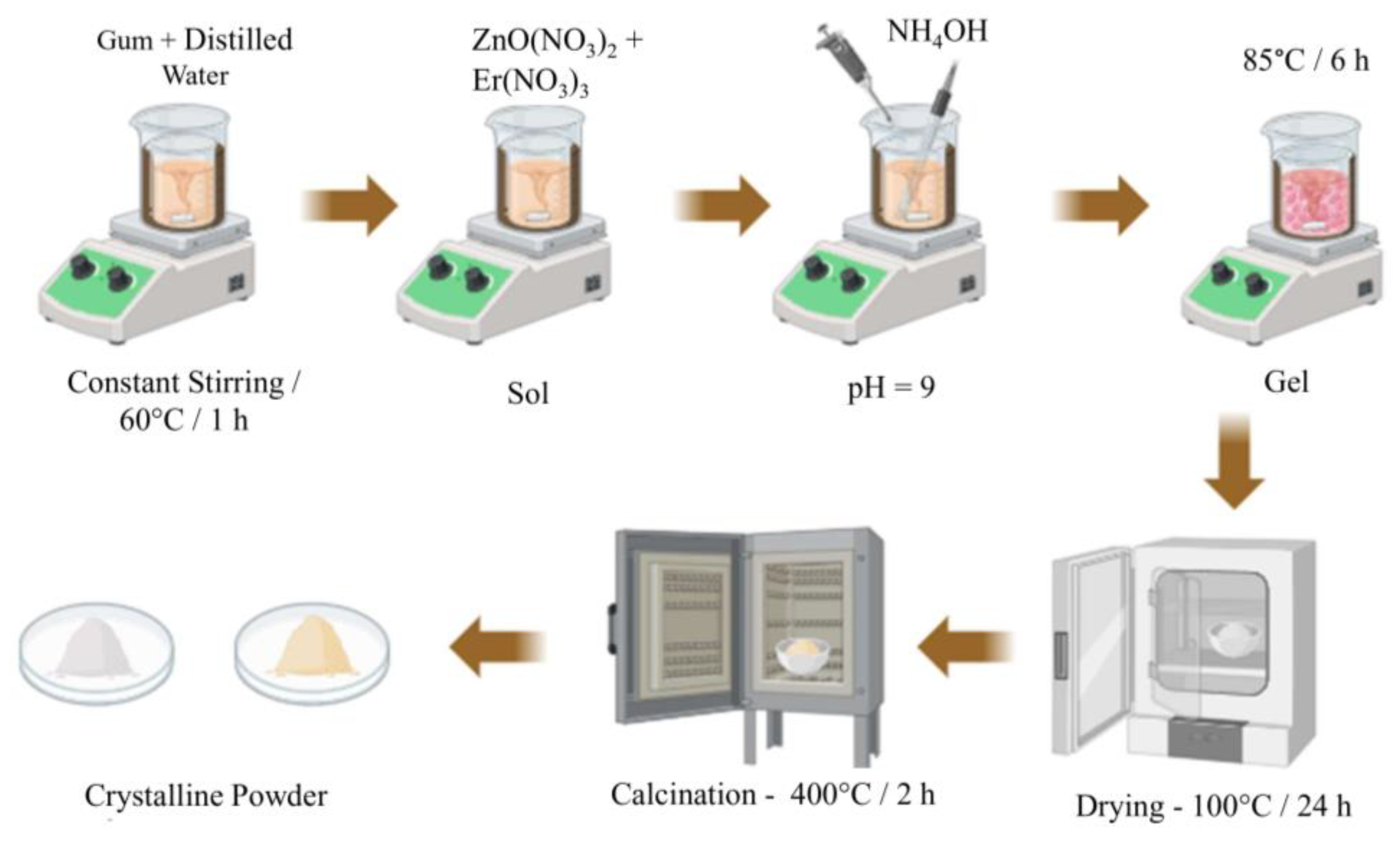 Molecules 29 00391 g010
