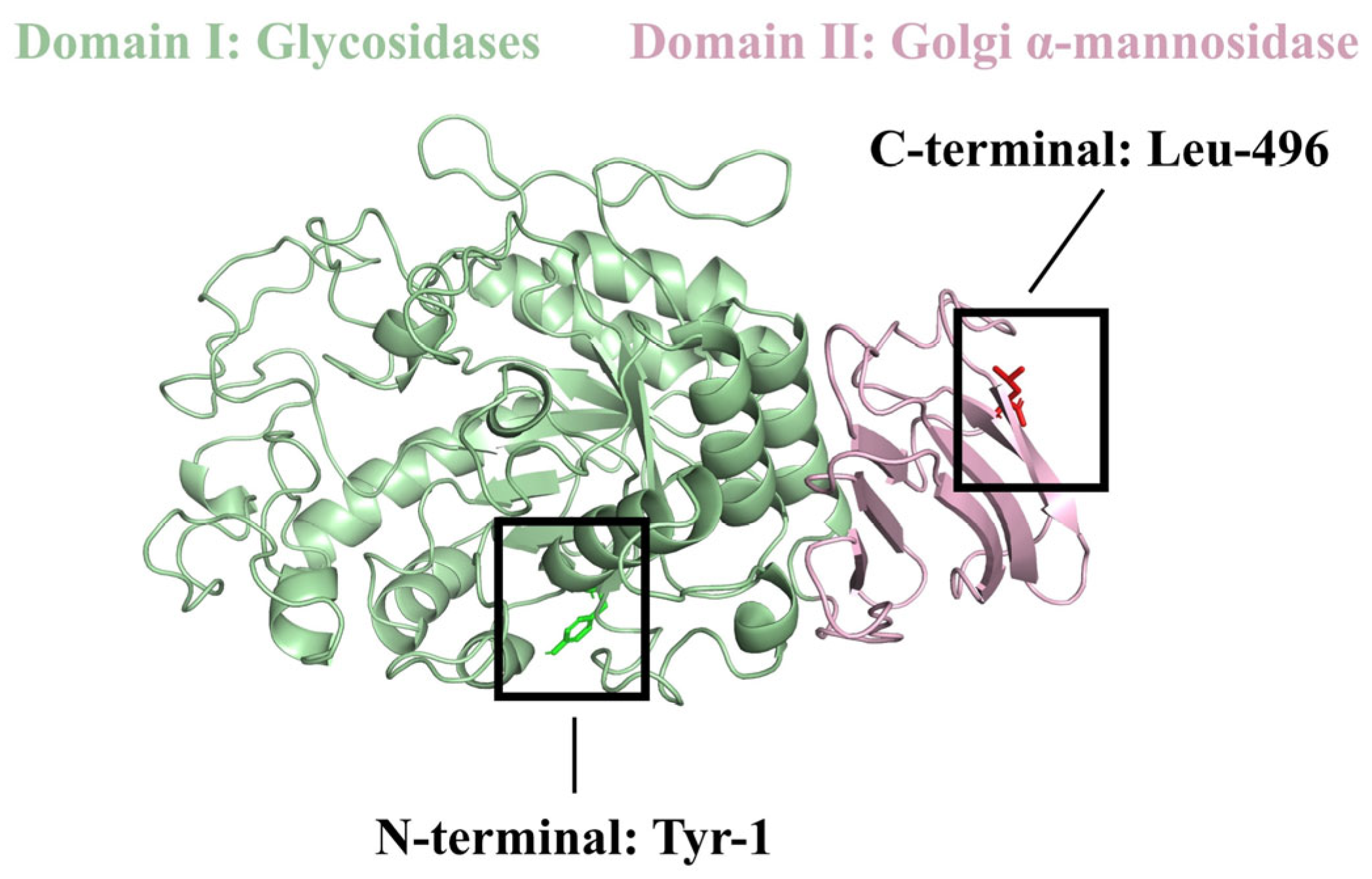 Molecules 29 00395 g001