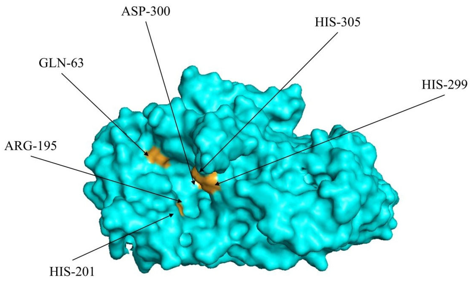 Molecules 29 00395 g003