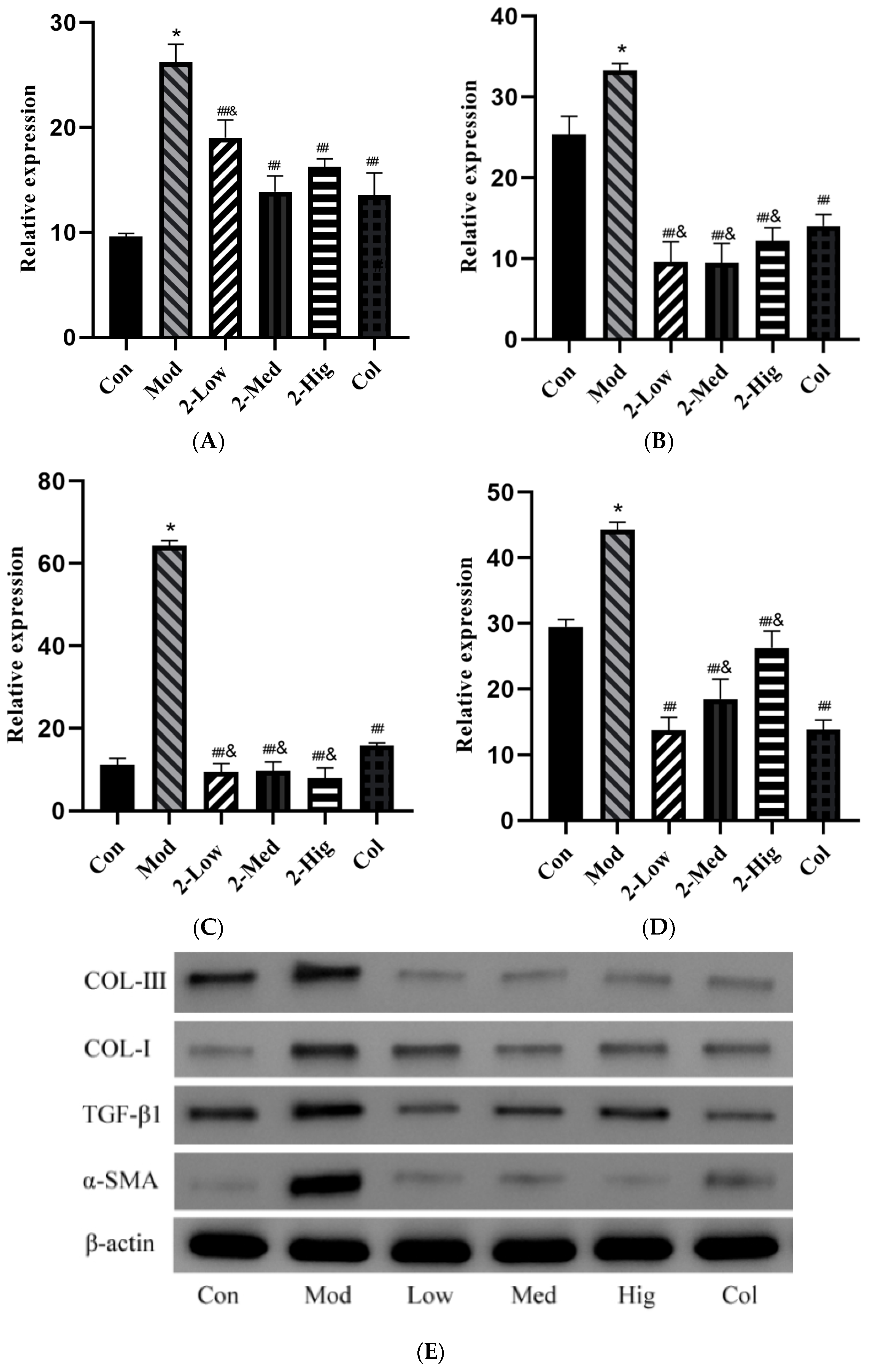 Molecules 29 00401 g010