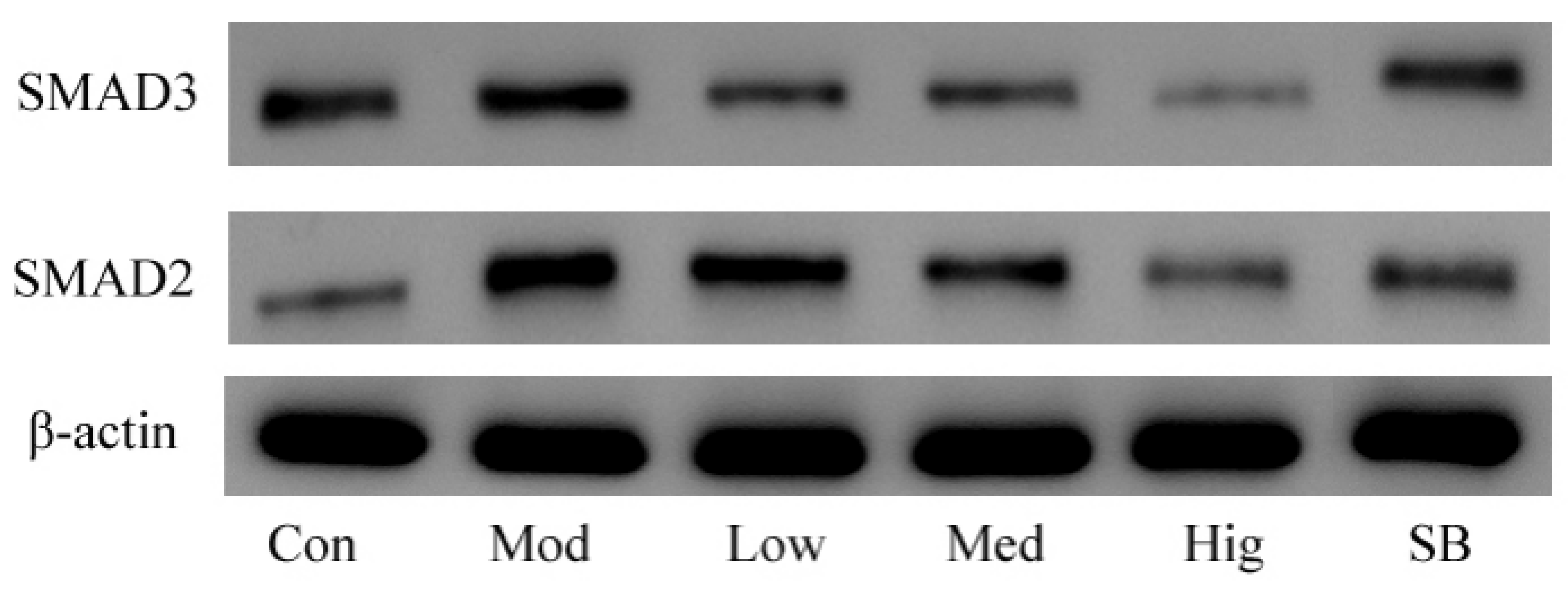 Molecules 29 00401 g013b