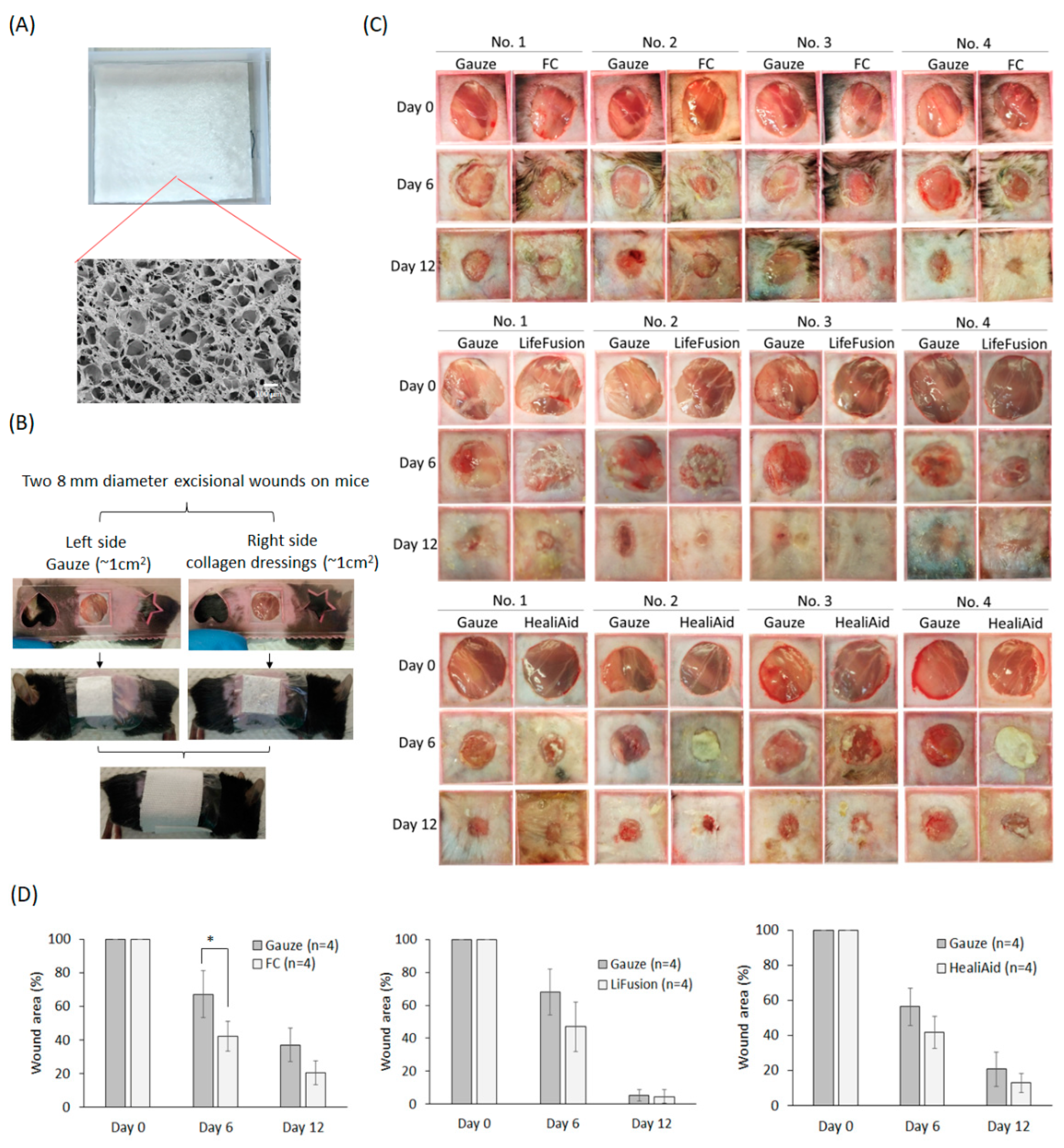 Molecules 29 00402 g006