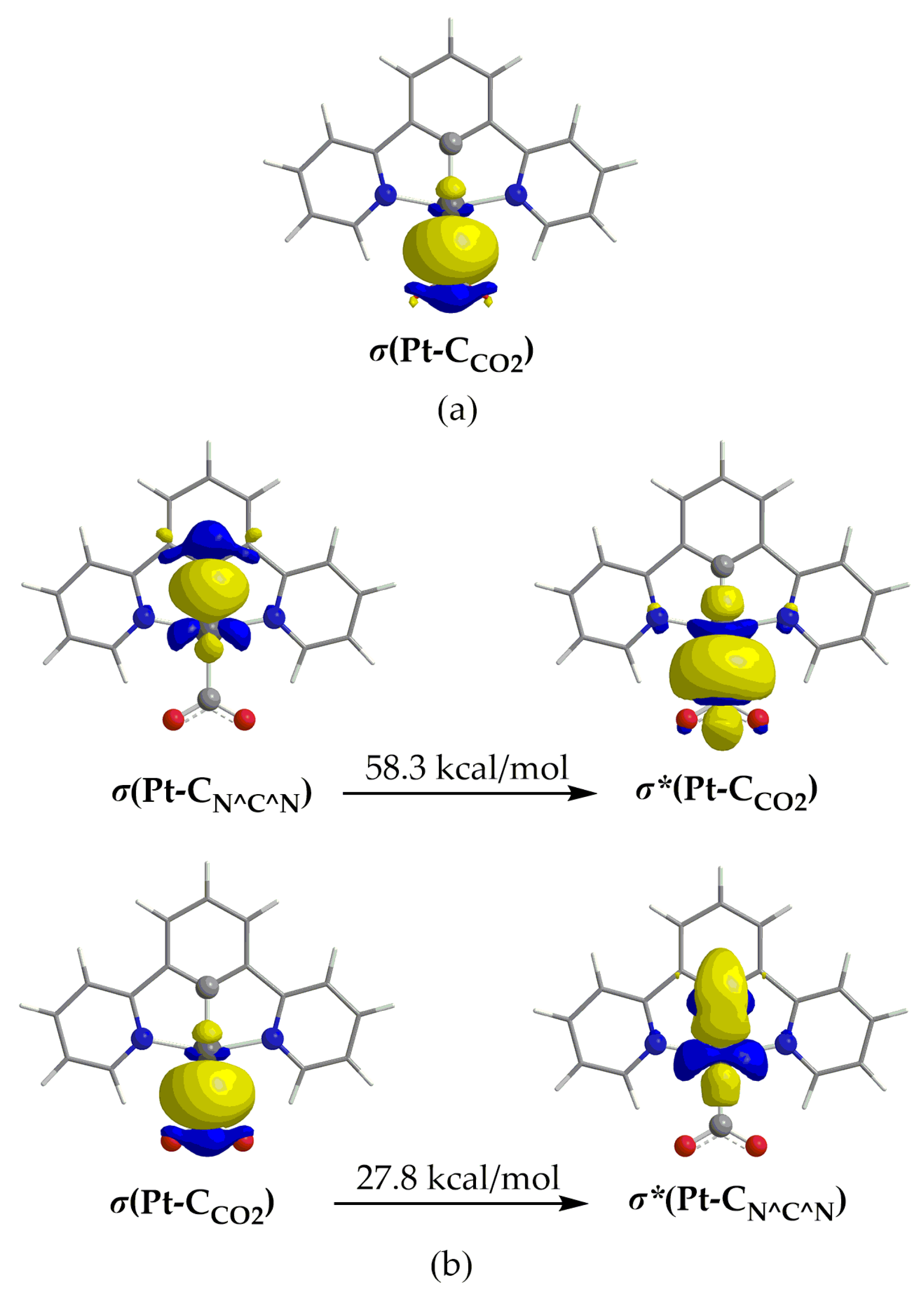 Molecules 29 00403 g006