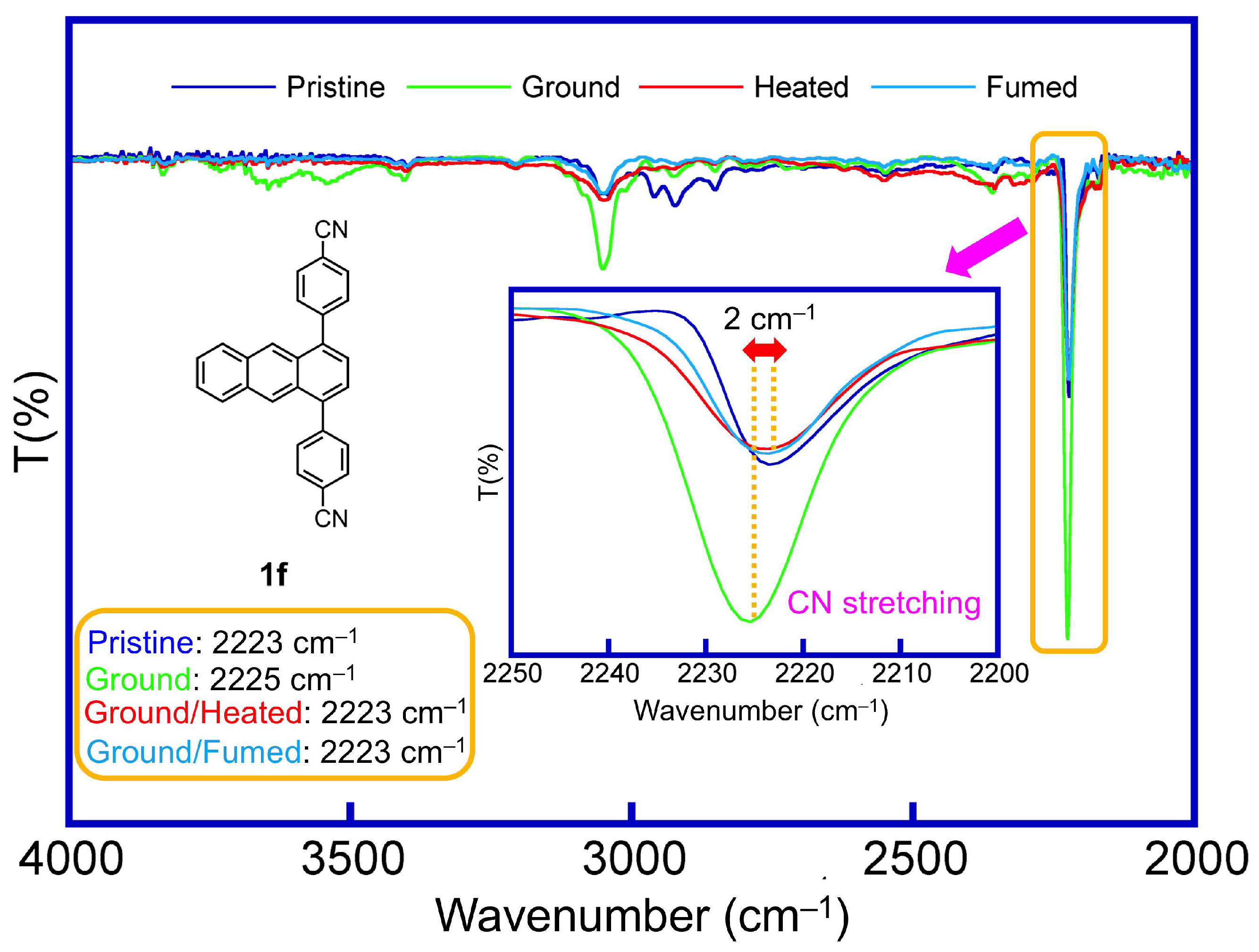 Molecules 29 00407 g006