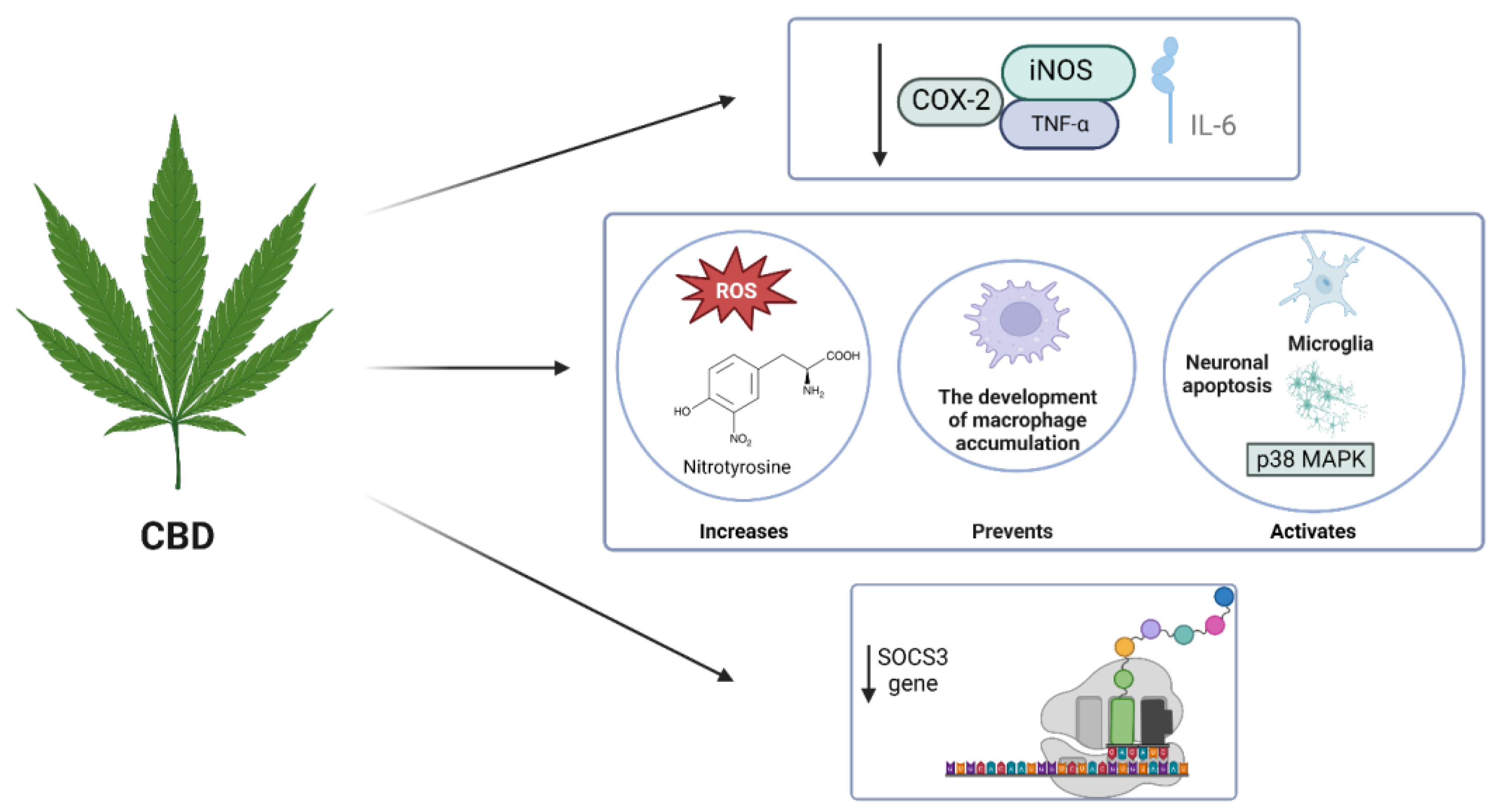 Molecules 29 00410 g003