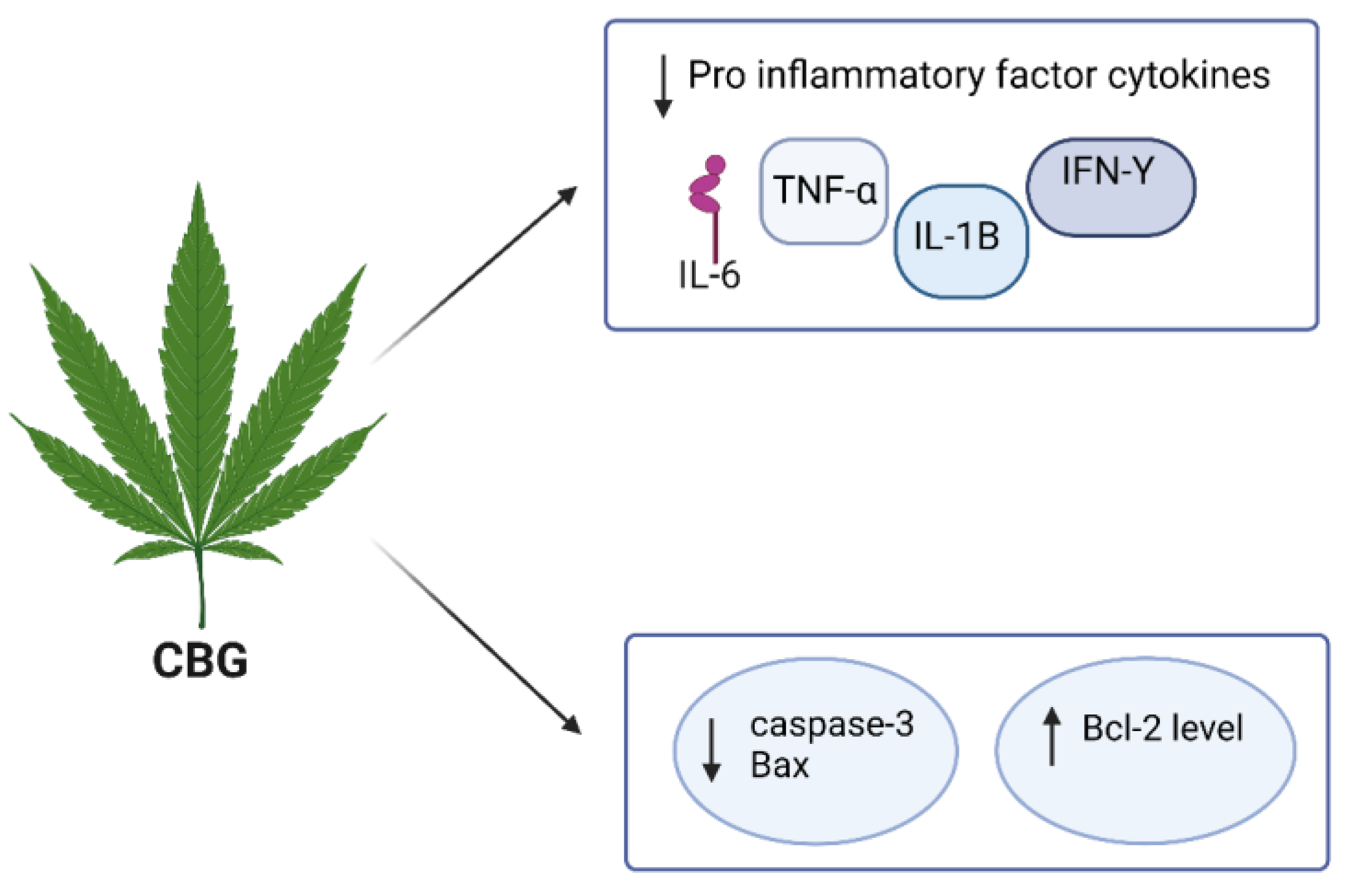 Molecules 29 00410 g005