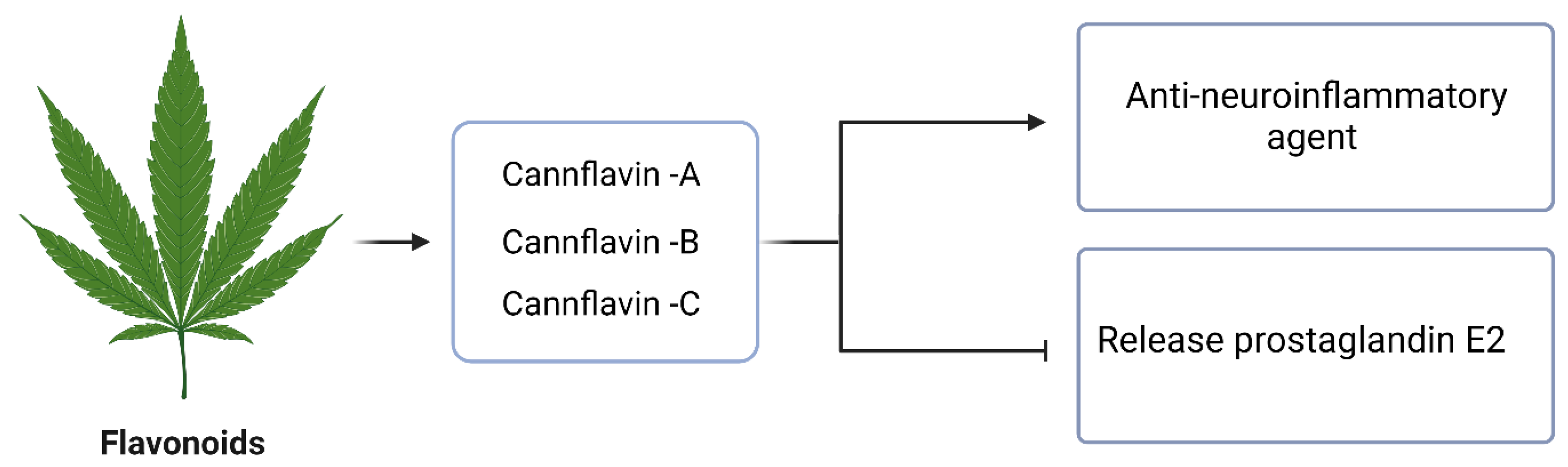 Molecules 29 00410 g006