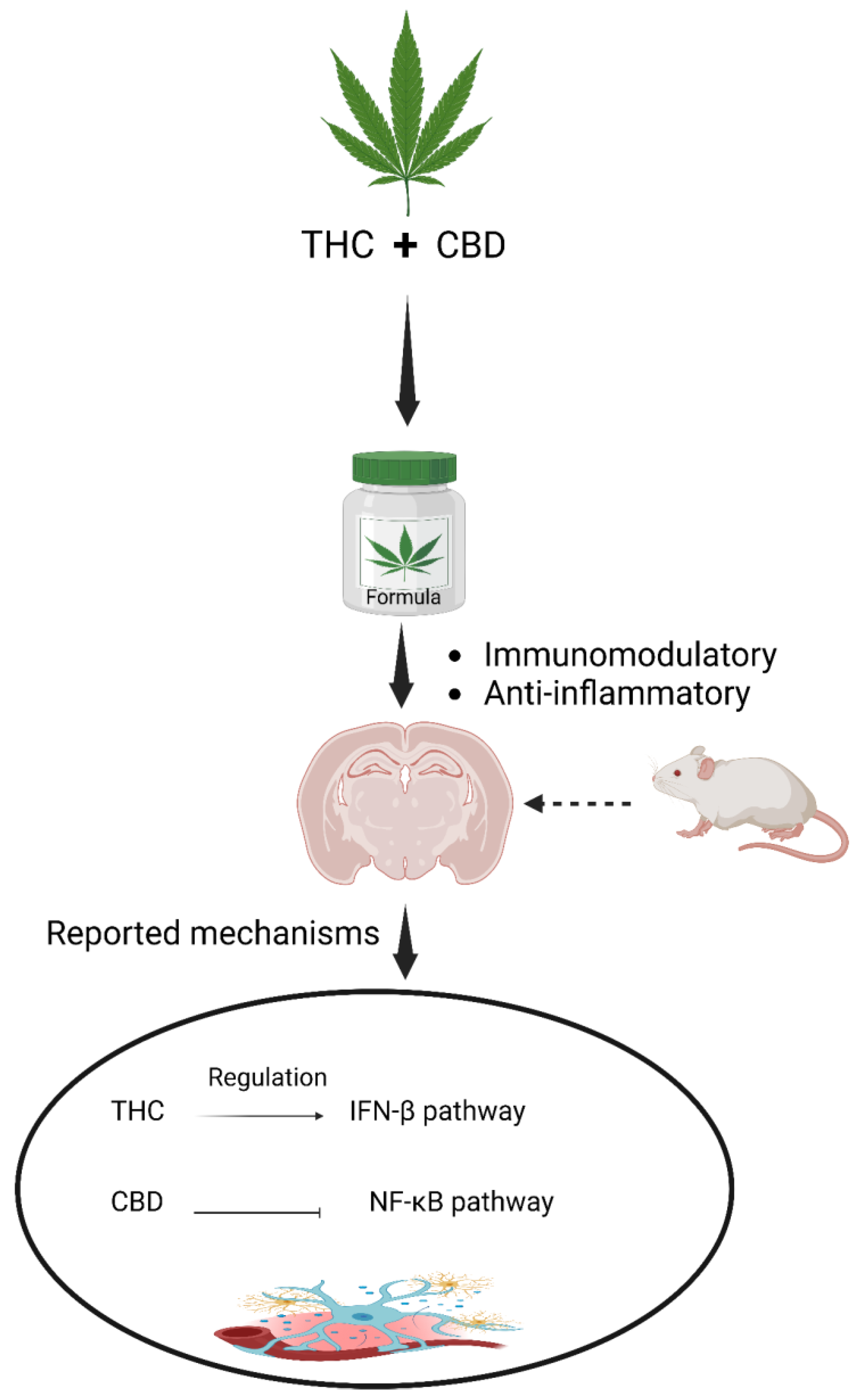 Molecules 29 00410 g007