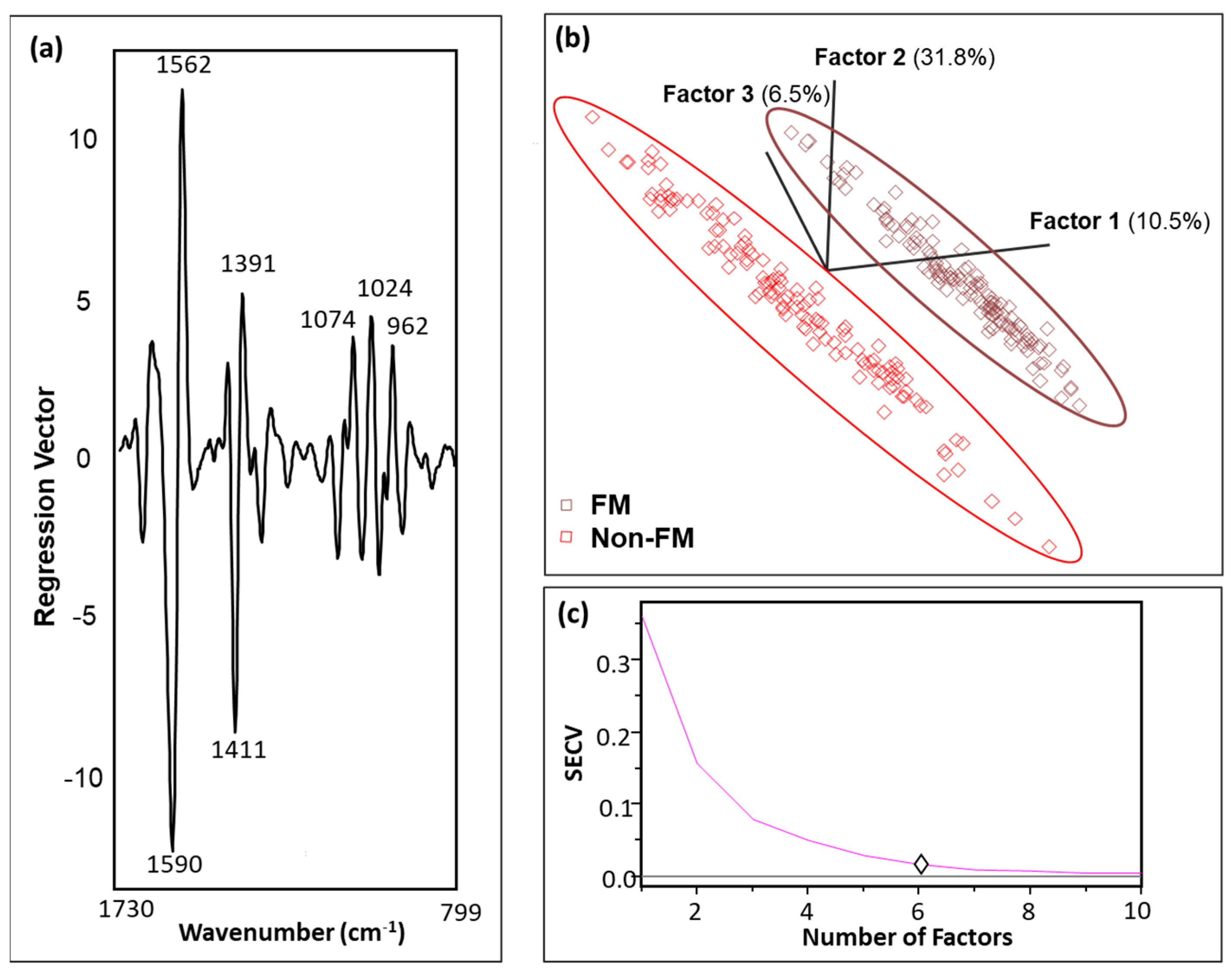 Molecules 29 00413 g003