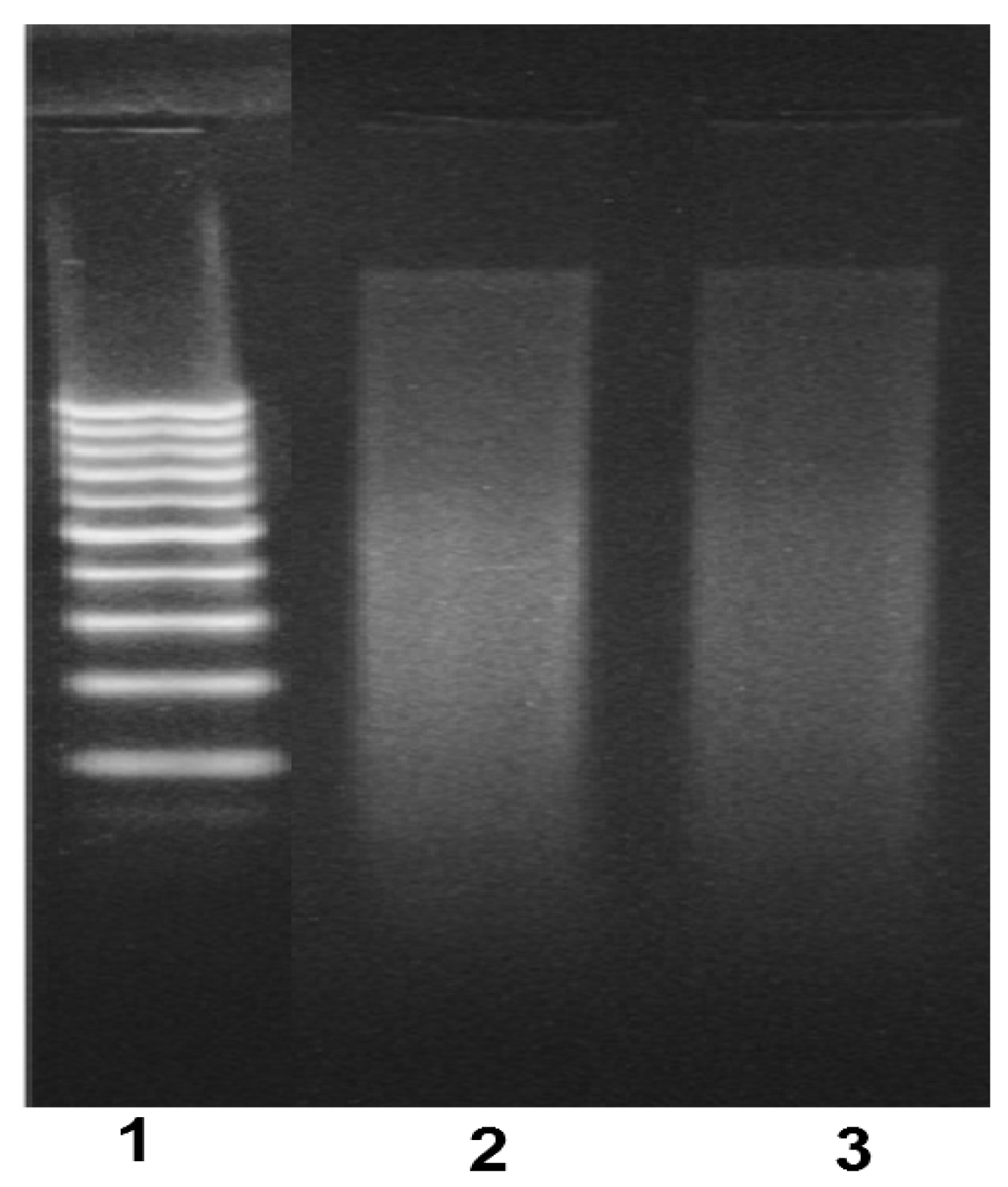 Molecules 29 00414 g010