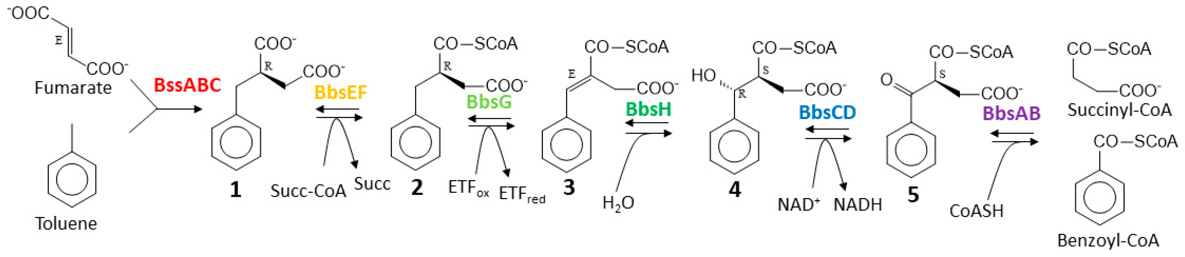 Molecules 29 00415 g001