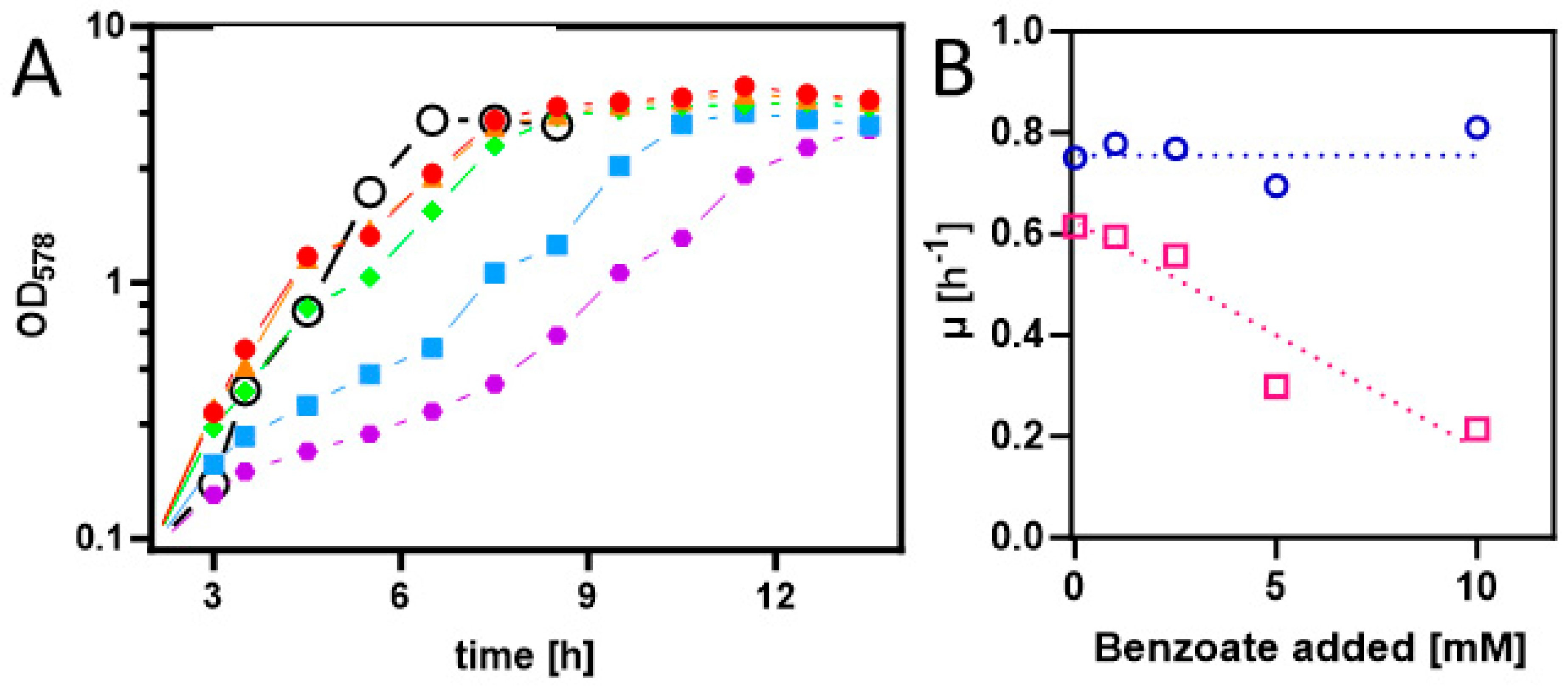 Molecules 29 00415 g002