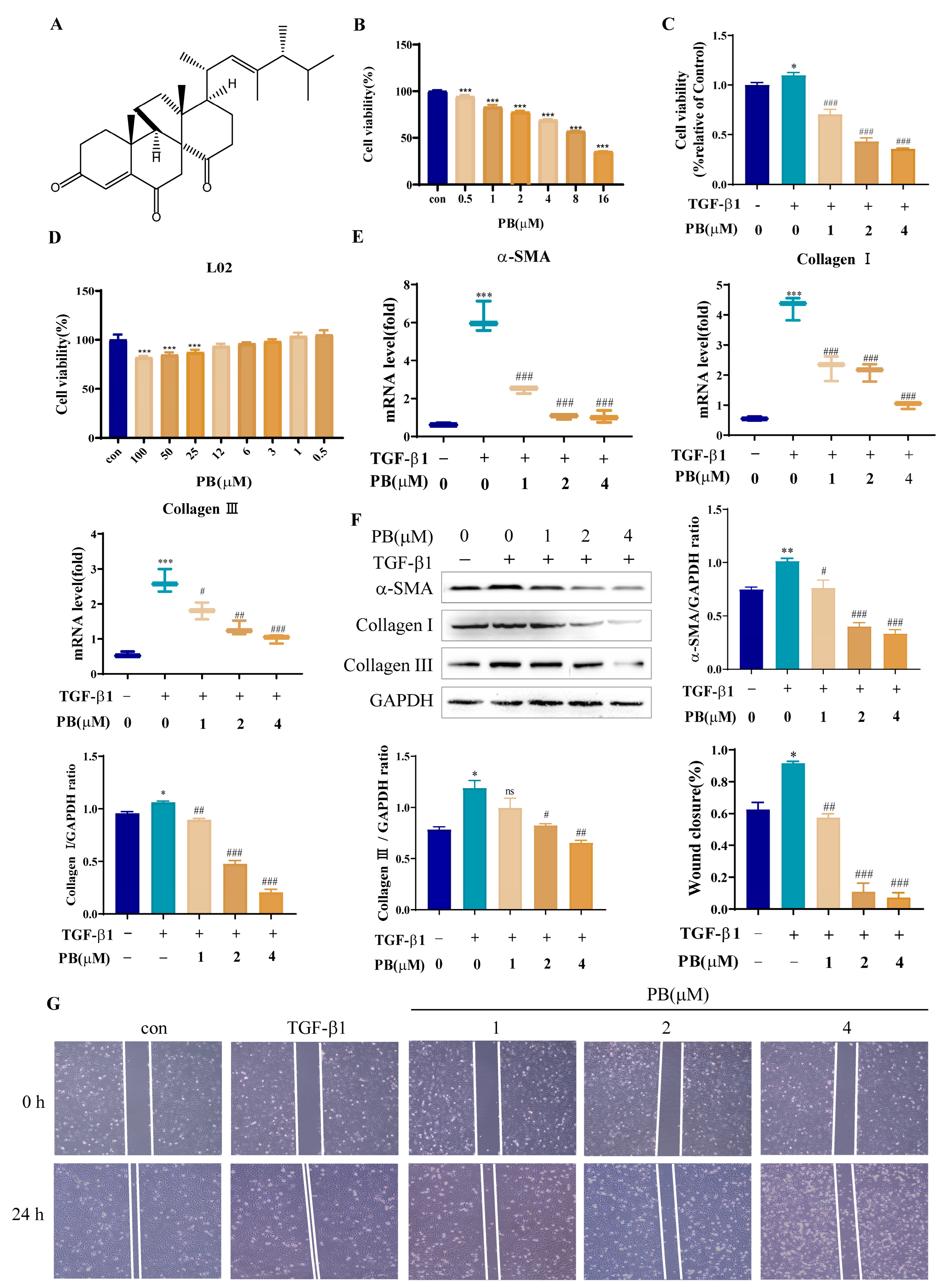 Molecules 29 00417 g001