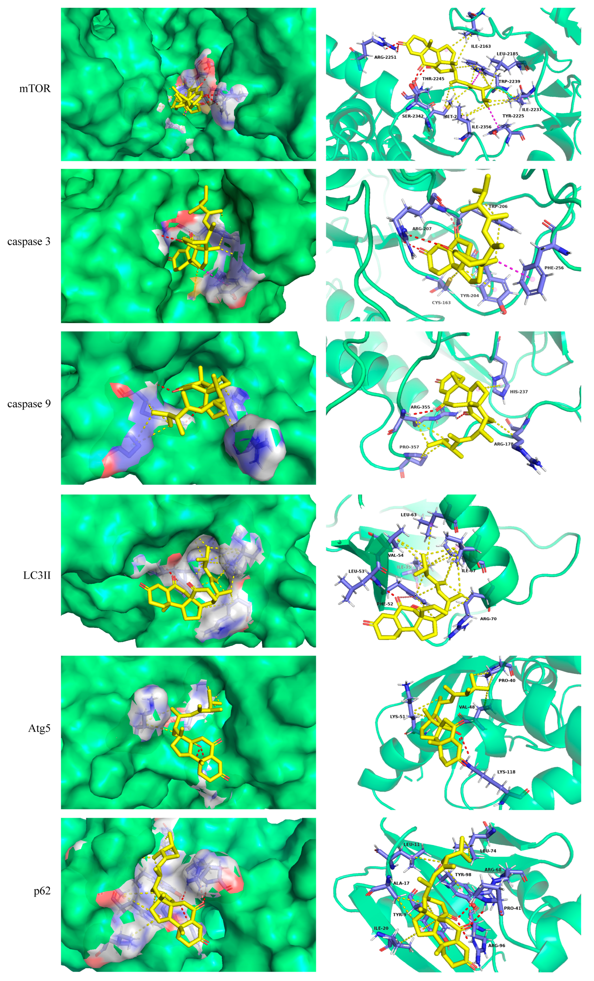 Molecules 29 00417 g002
