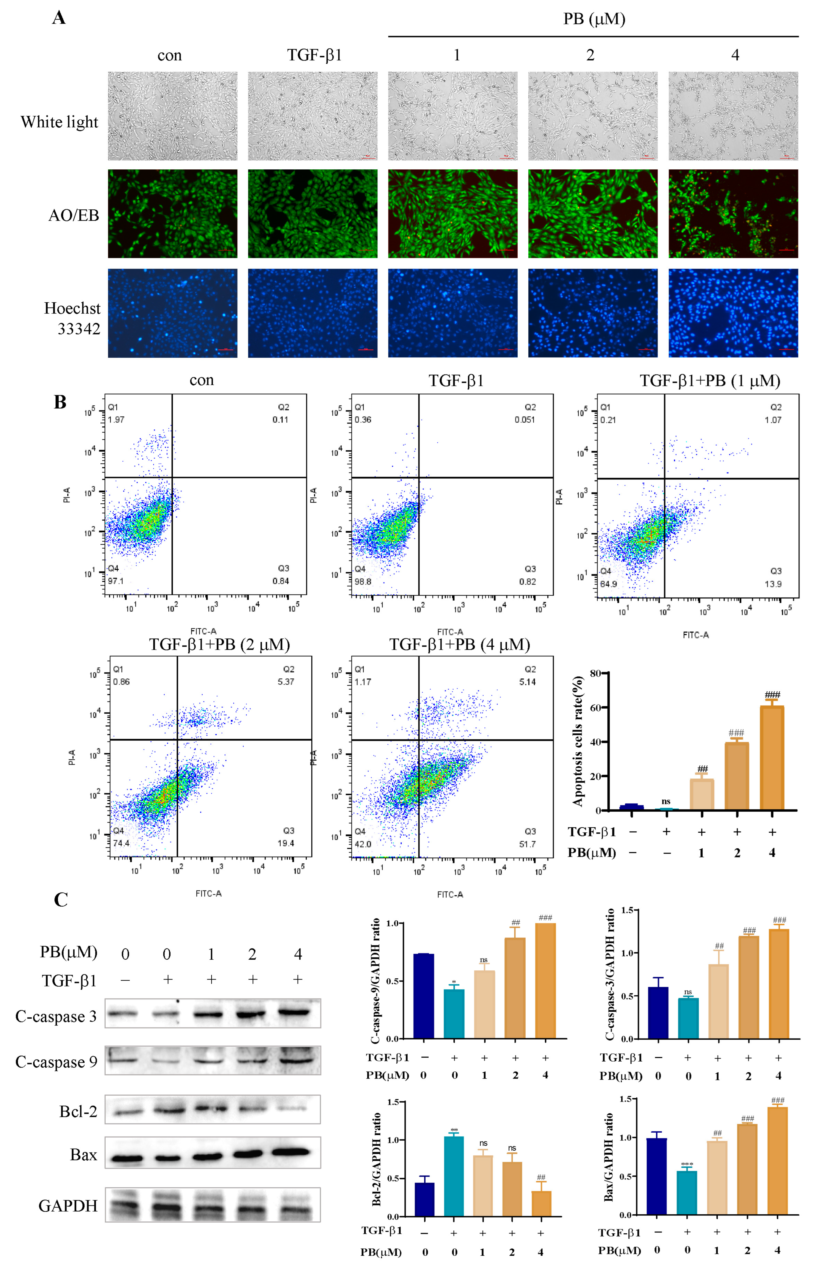 Molecules 29 00417 g003