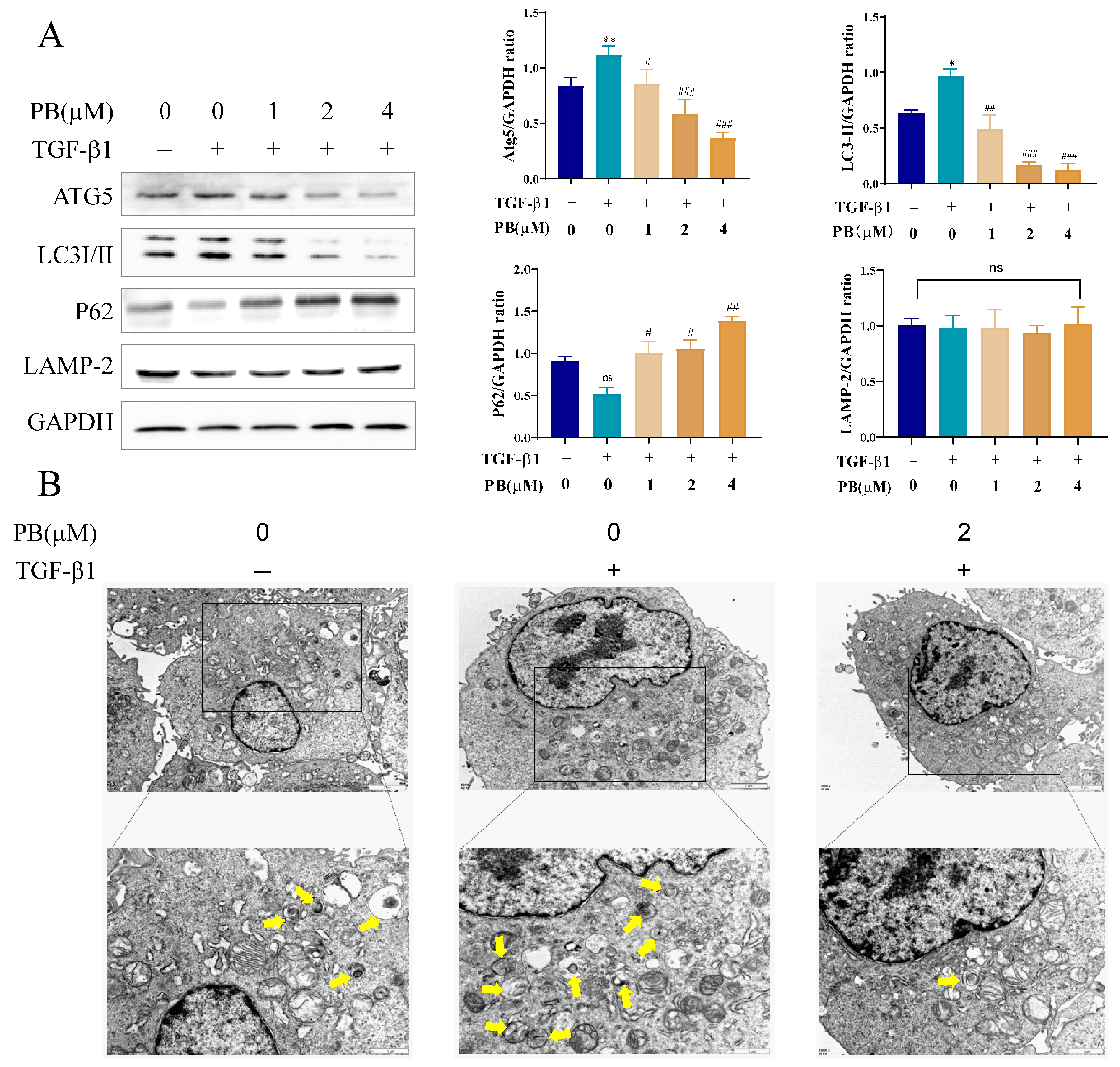 Molecules 29 00417 g004