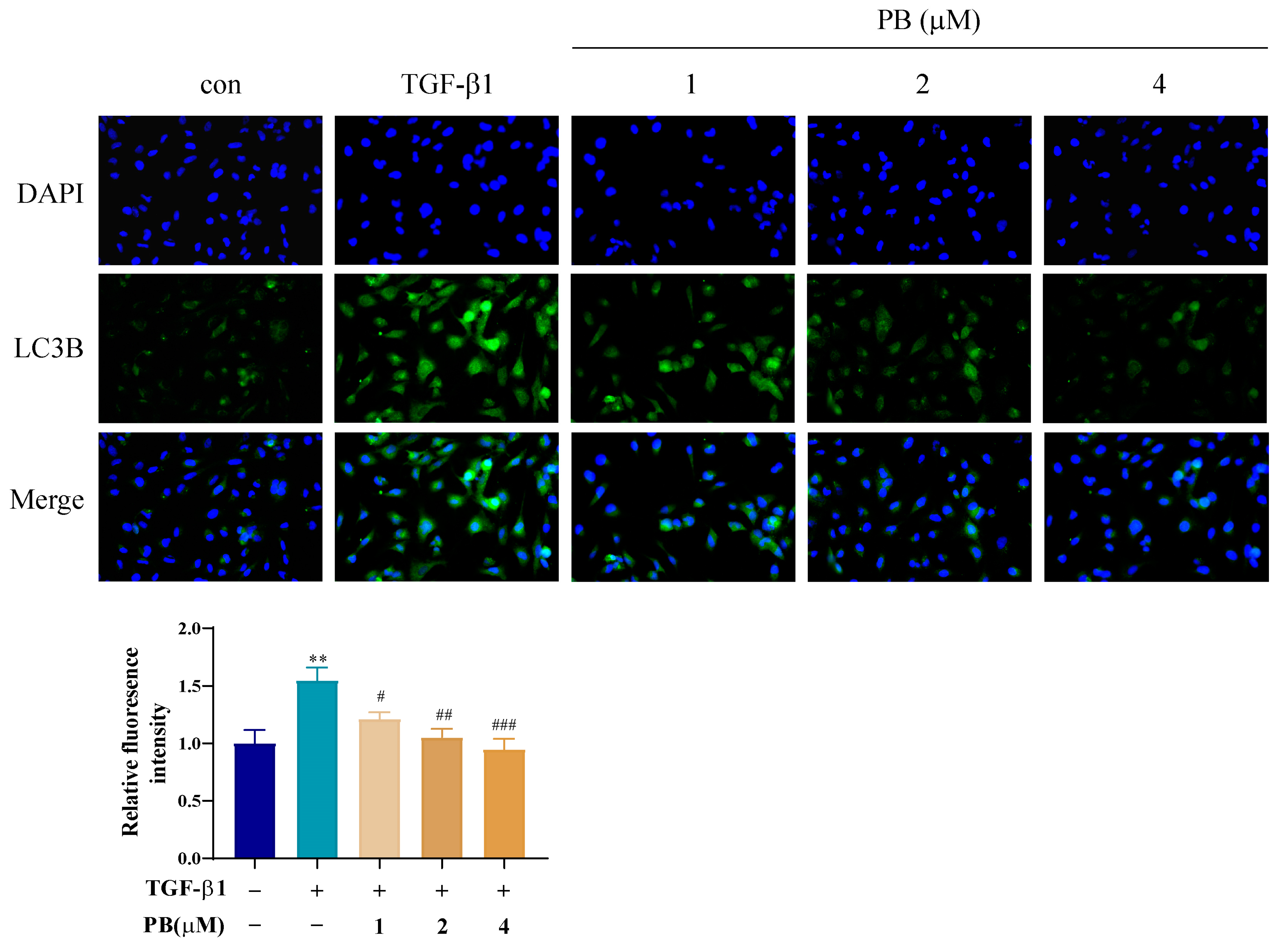 Molecules 29 00417 g005