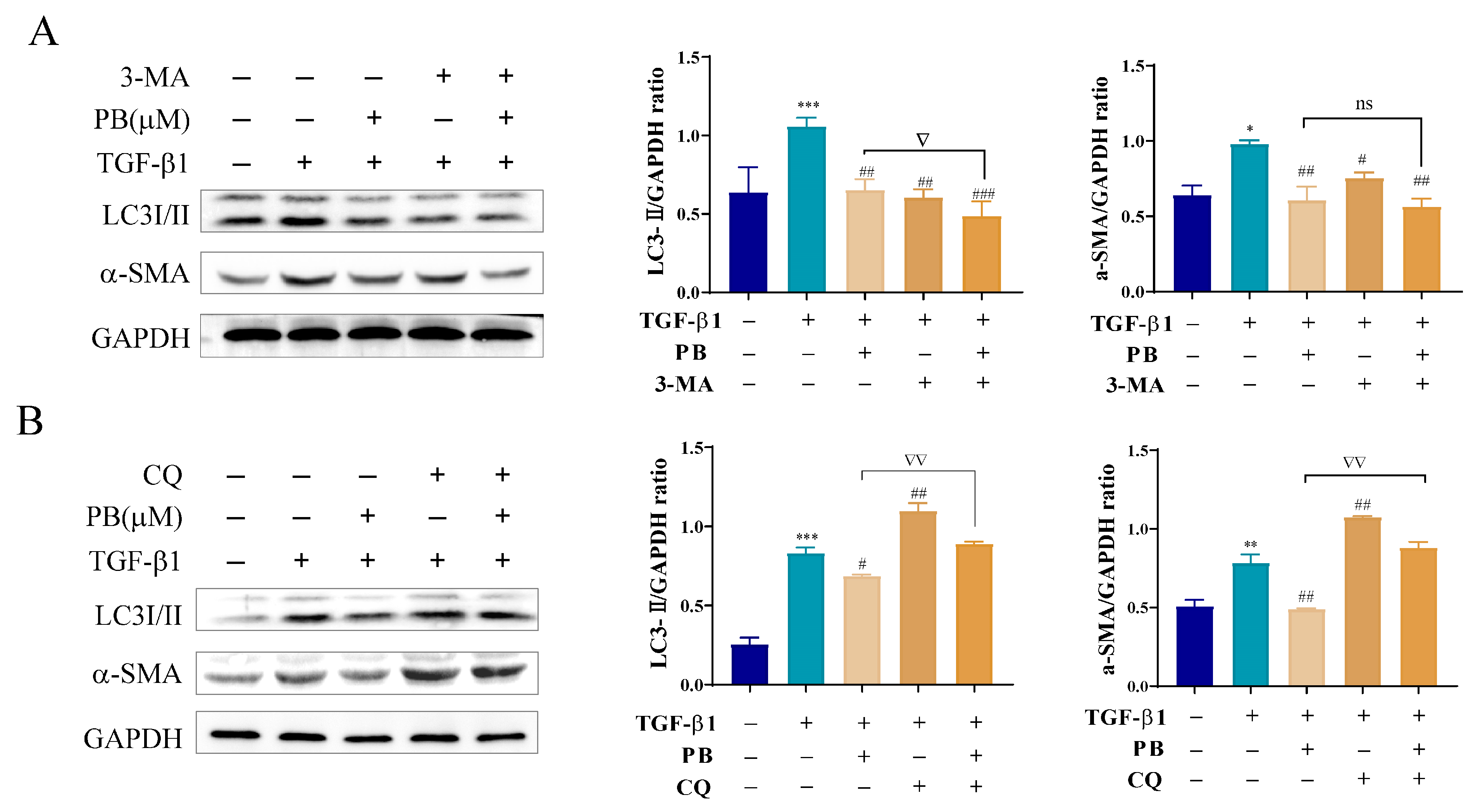 Molecules 29 00417 g006