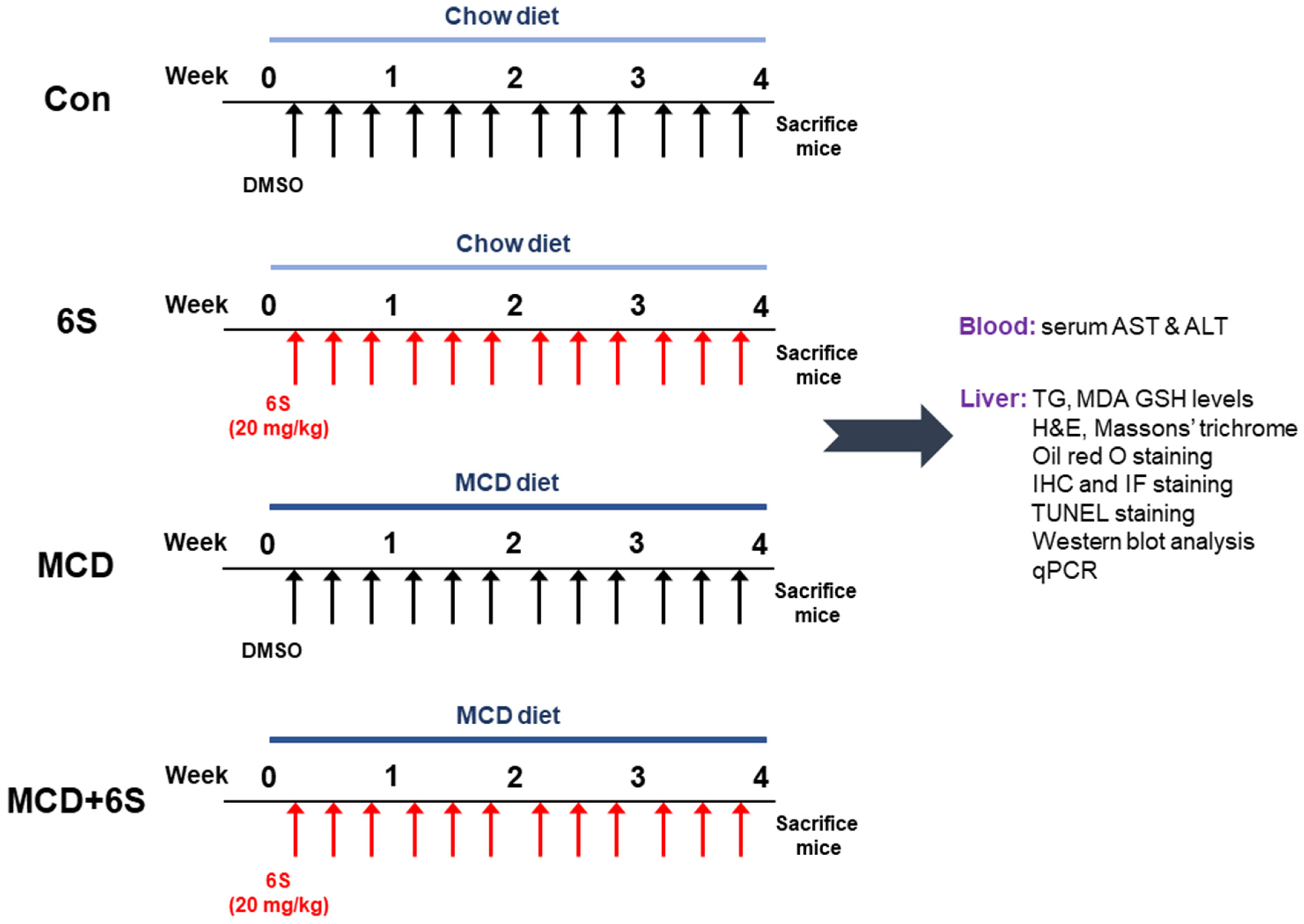 Molecules 29 00419 g008