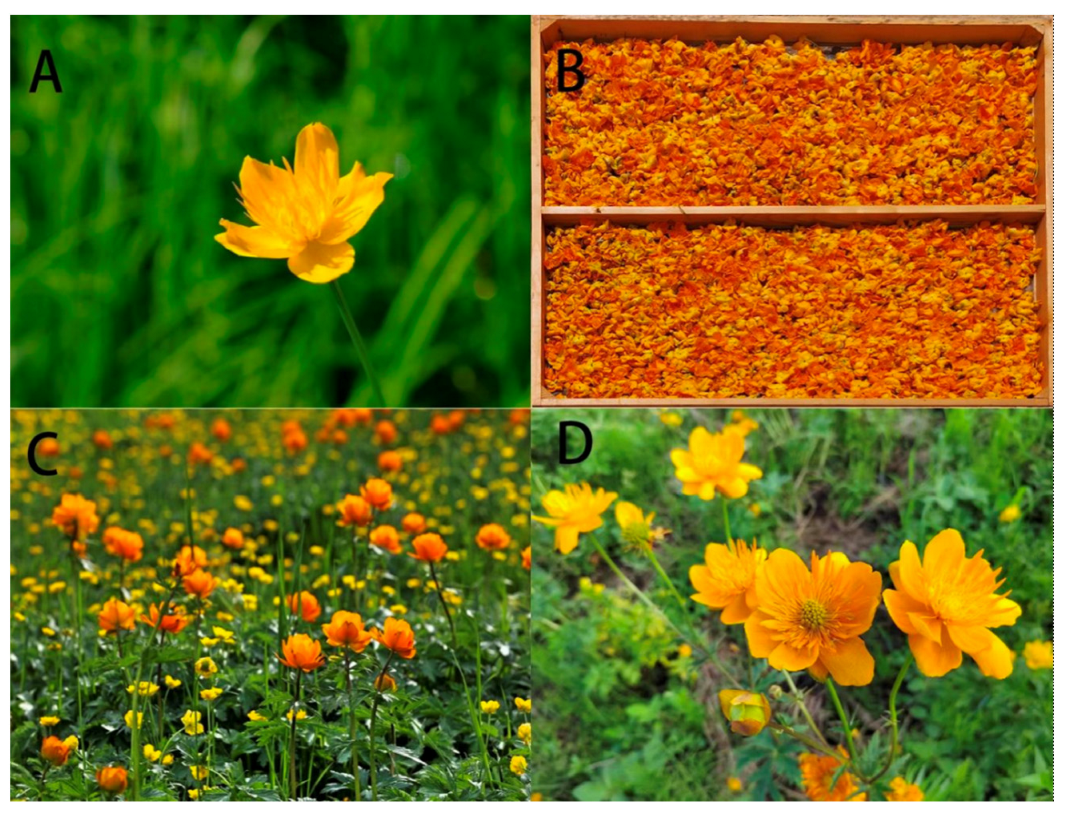 Molecules 29 00421 g002