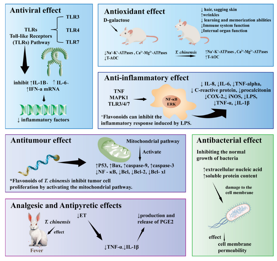 Molecules 29 00421 g007