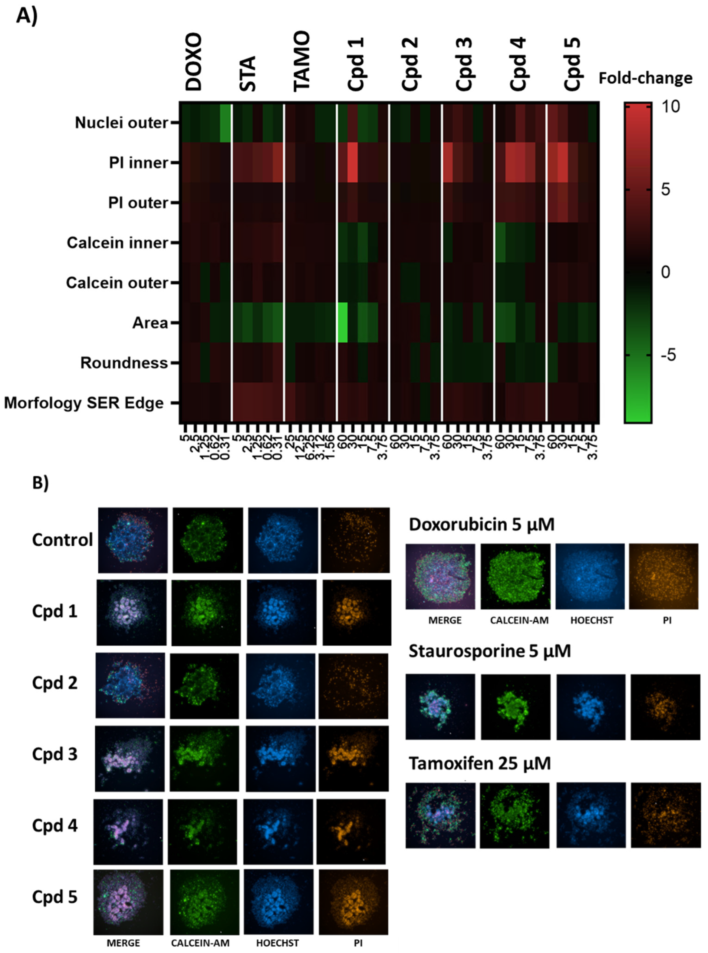Molecules 29 00425 g005