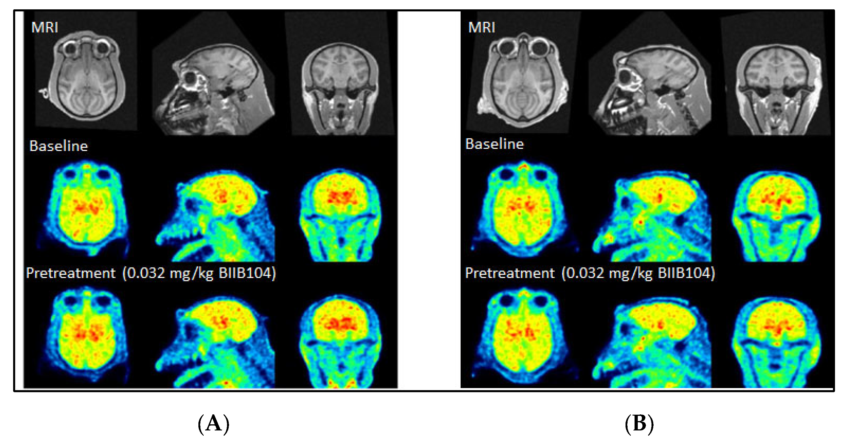Molecules 29 00427 g001