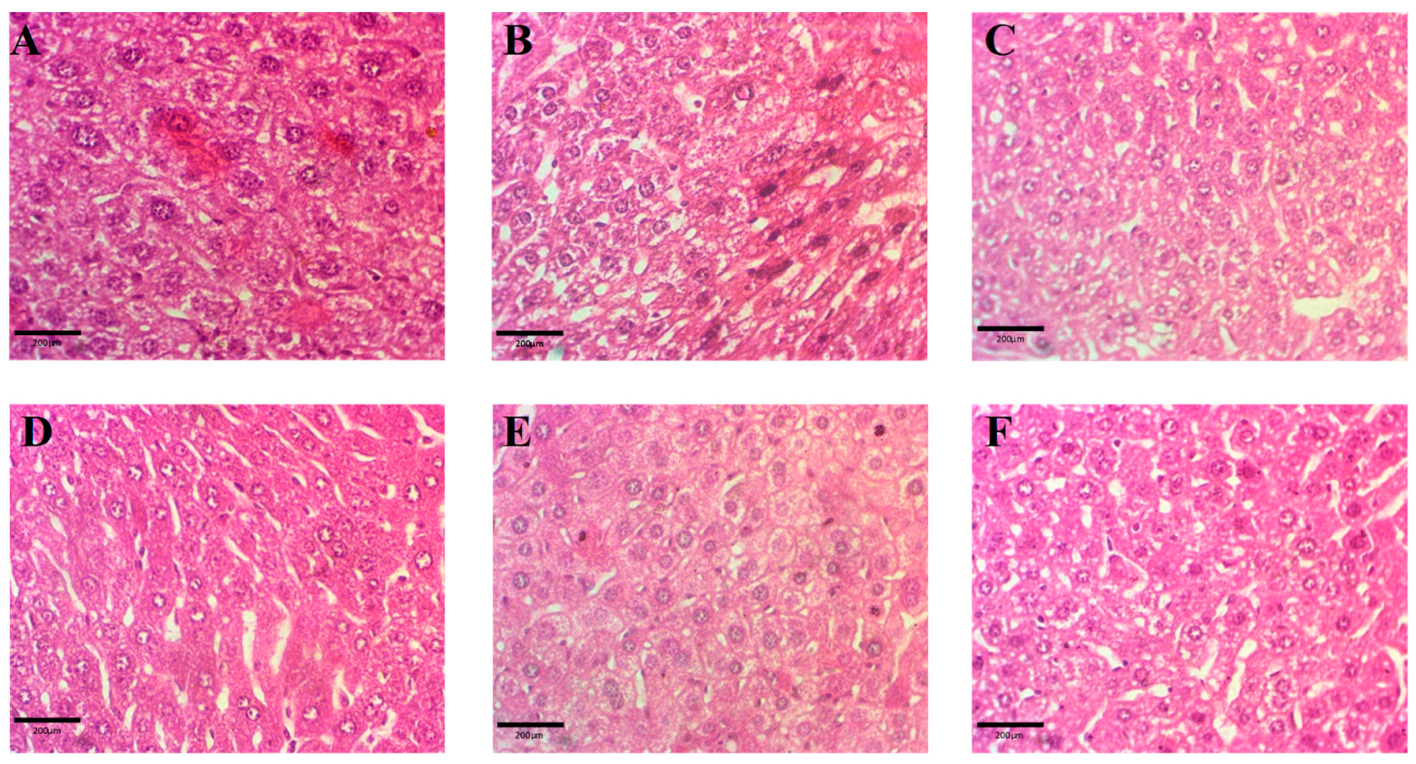 Molecules 29 00428 g010