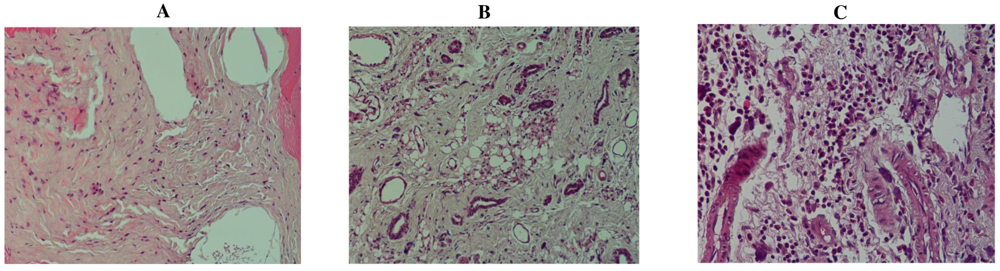 Molecules 29 00434 g004