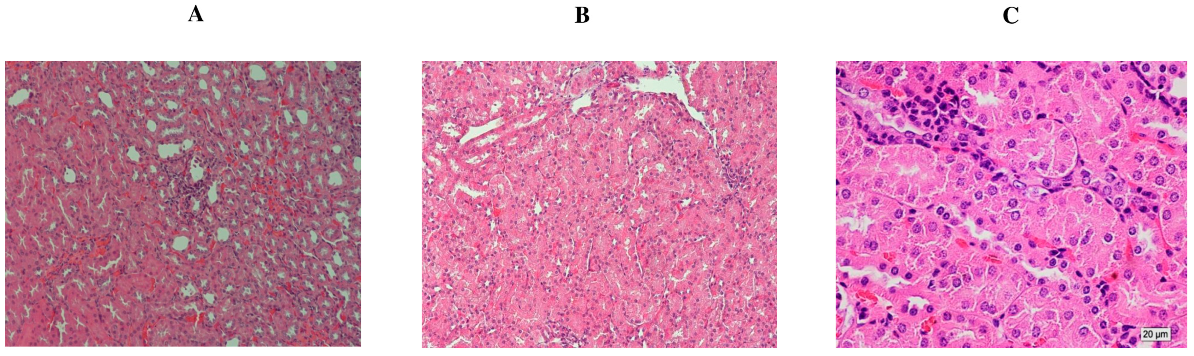 Molecules 29 00434 g005