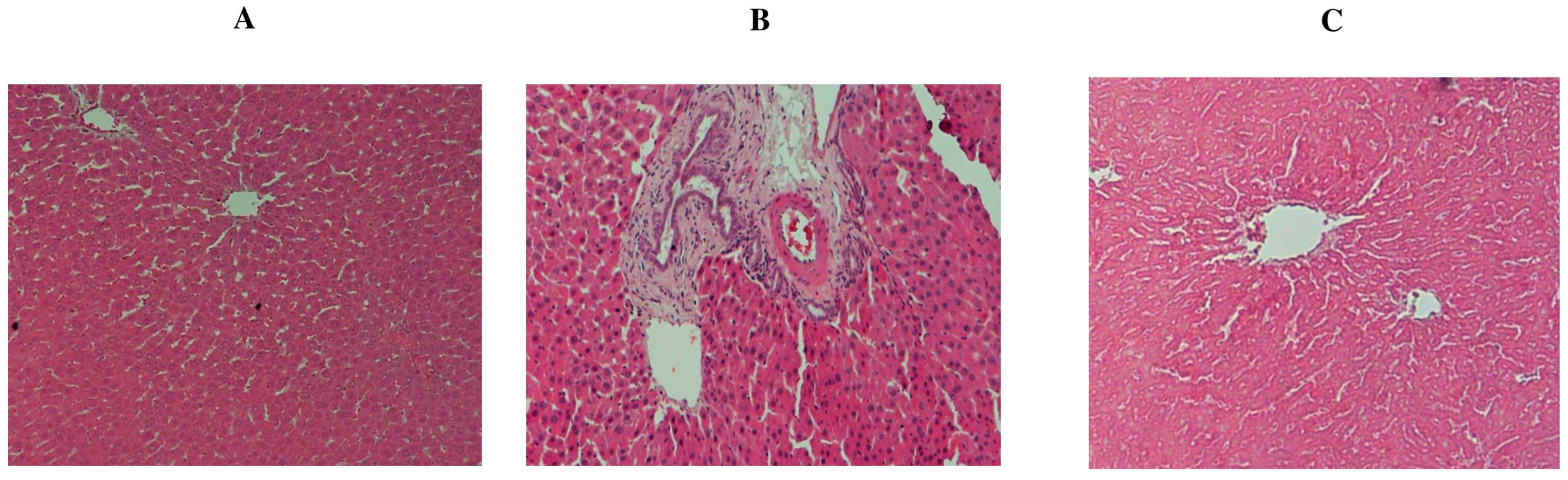 Molecules 29 00434 g006