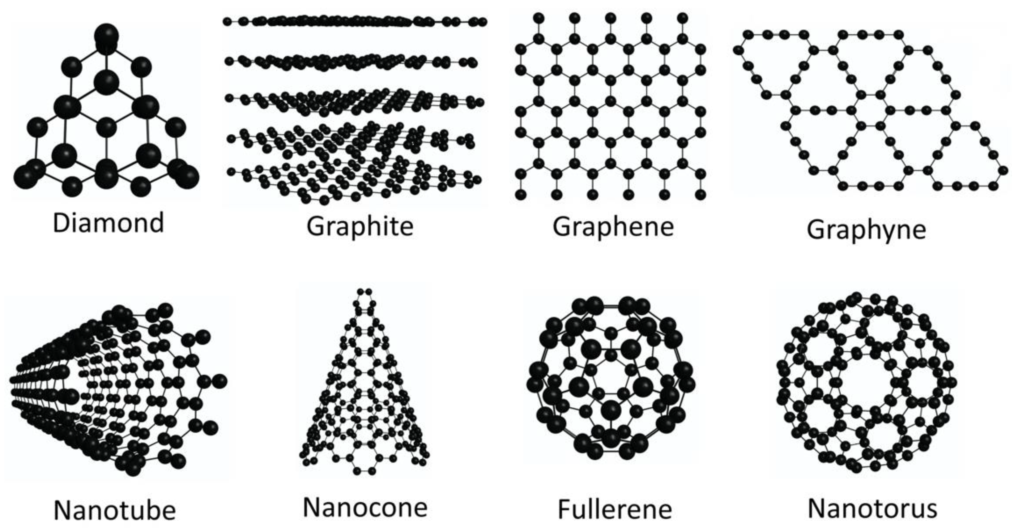 Molecules 29 00436 g001