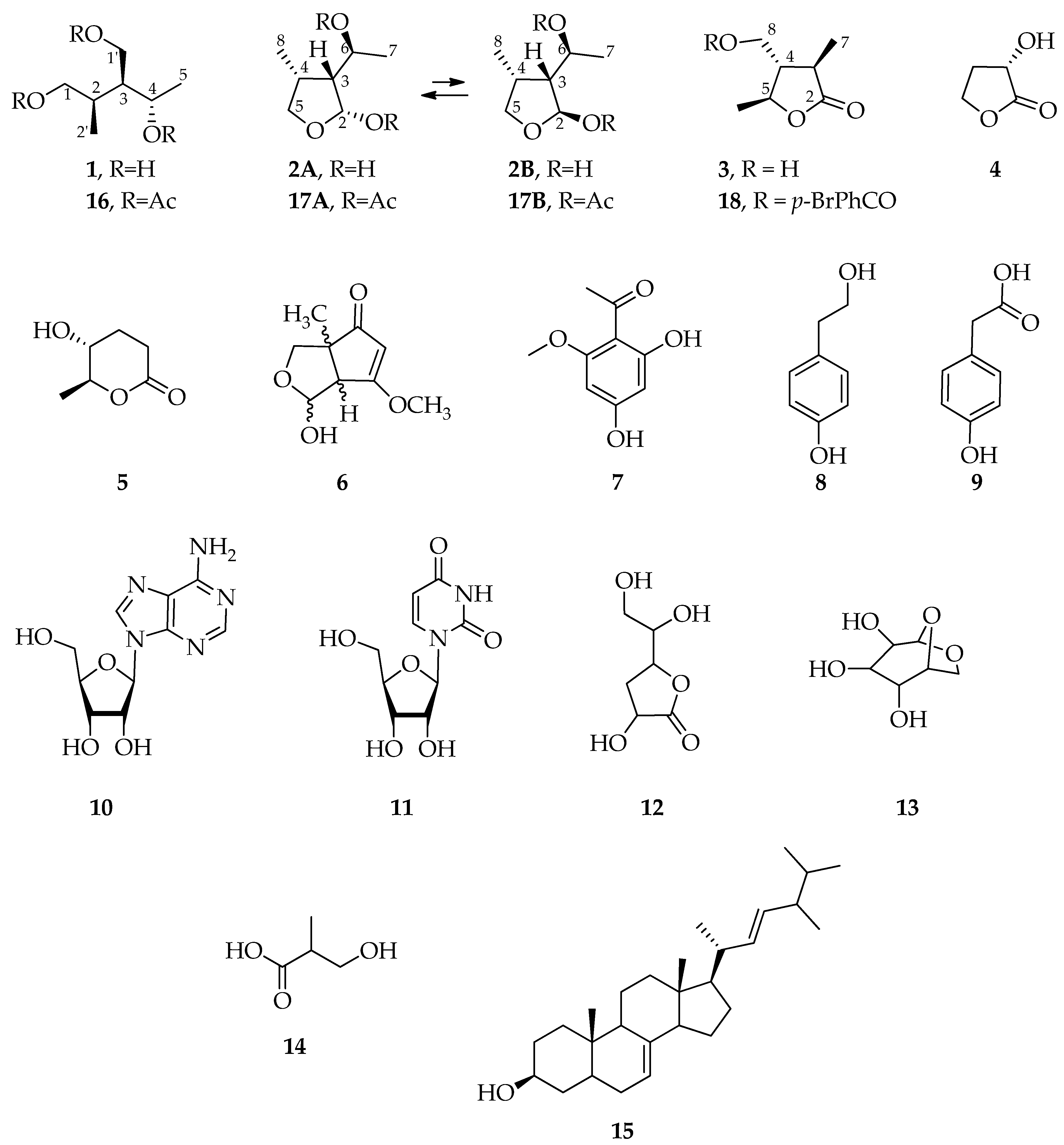 Molecules 29 00438 g002