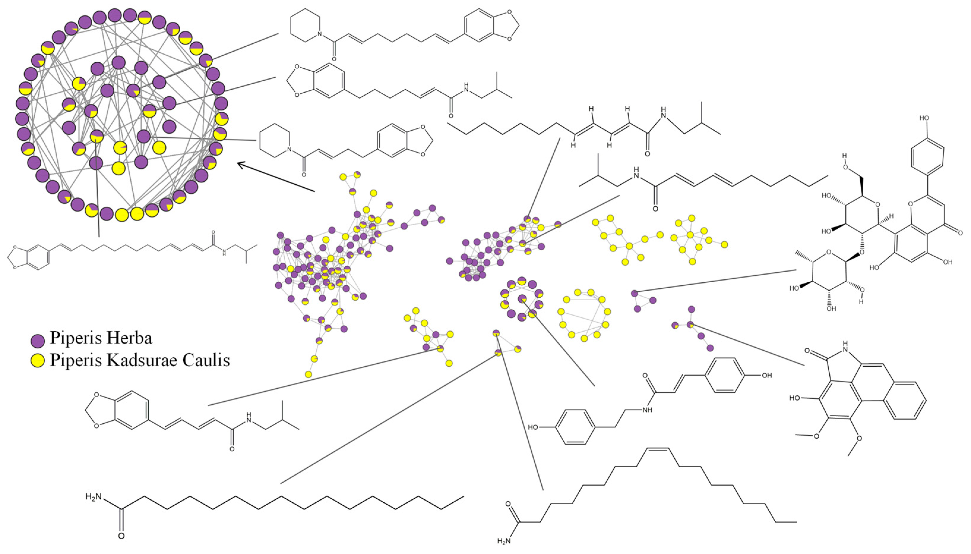 Molecules 29 00439 g001