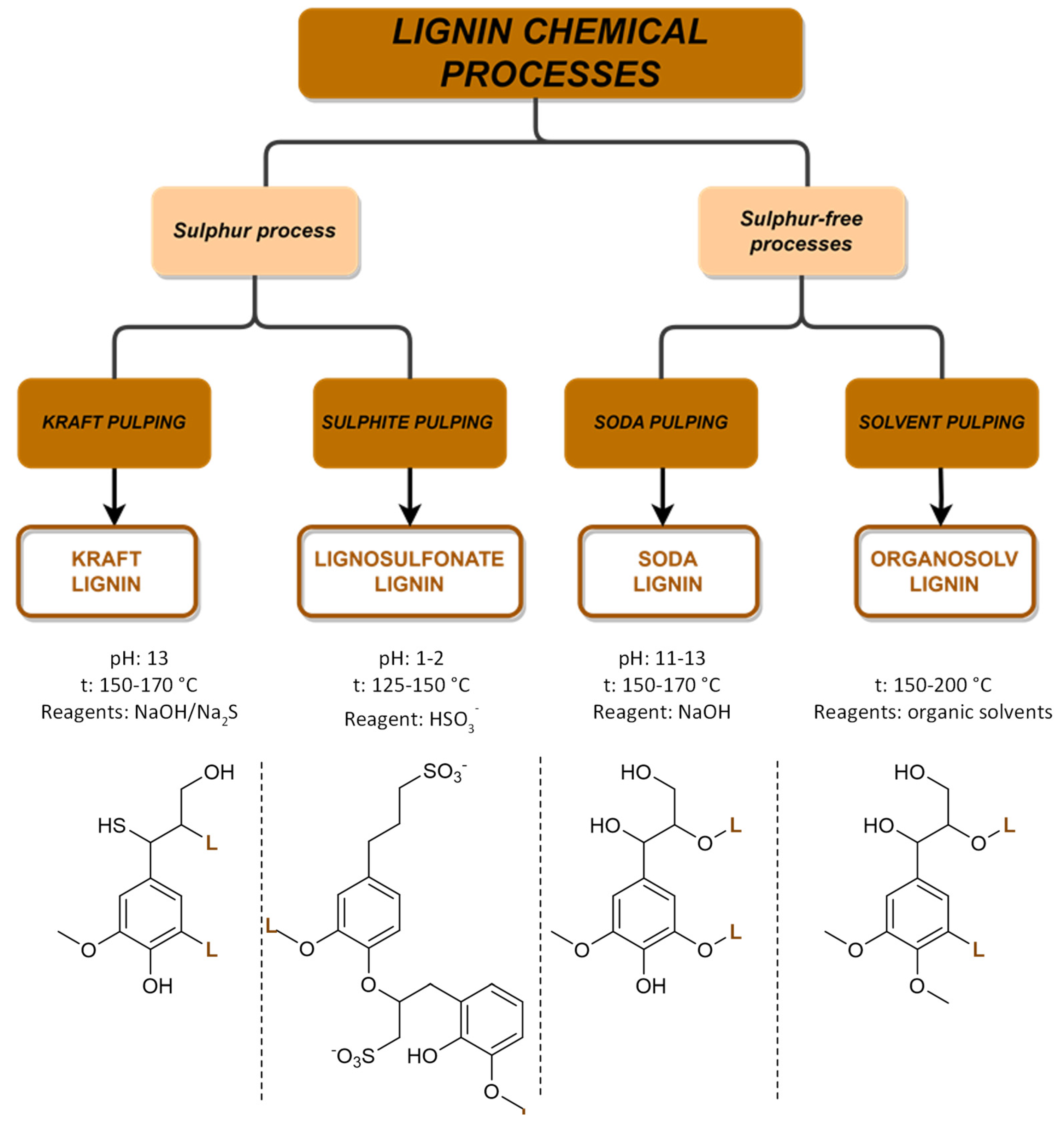 Molecules 29 00442 g009