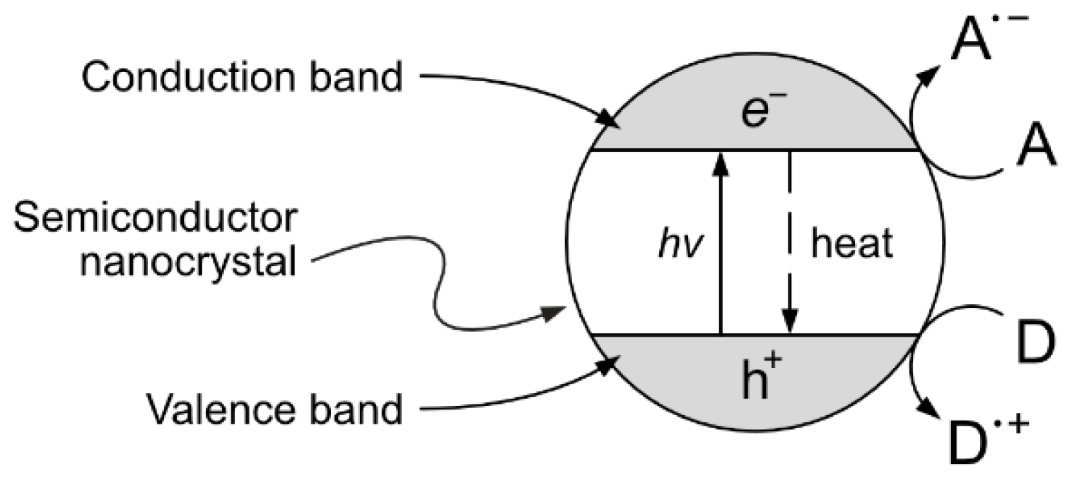 Molecules 29 00442 g013