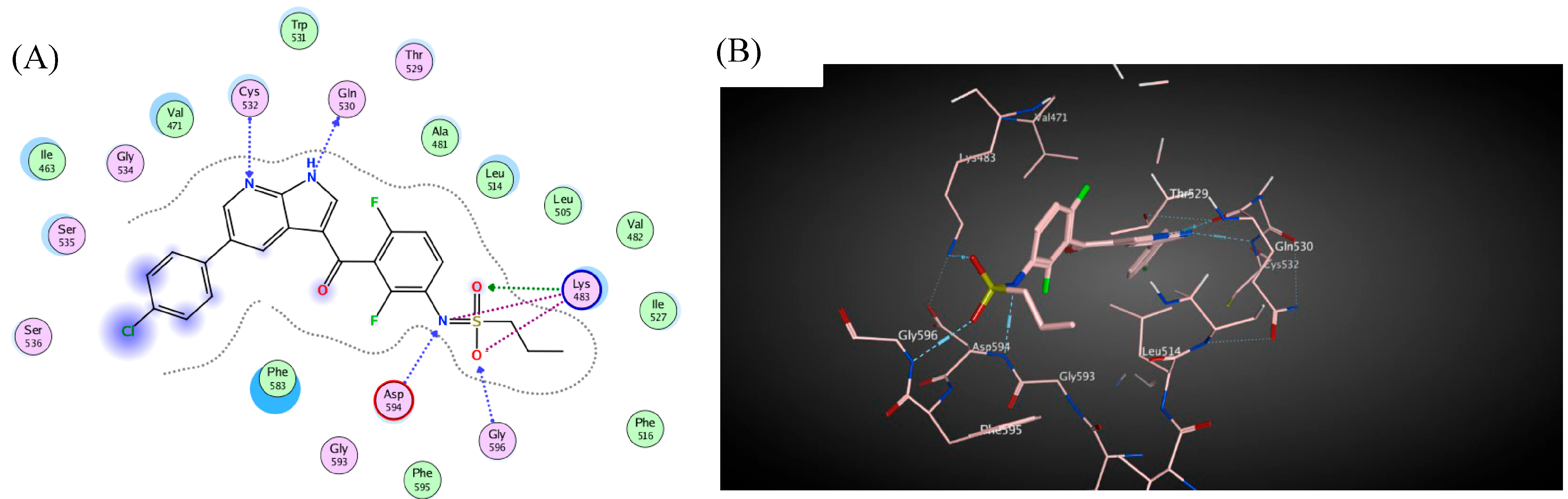 Molecules 29 00446 g009