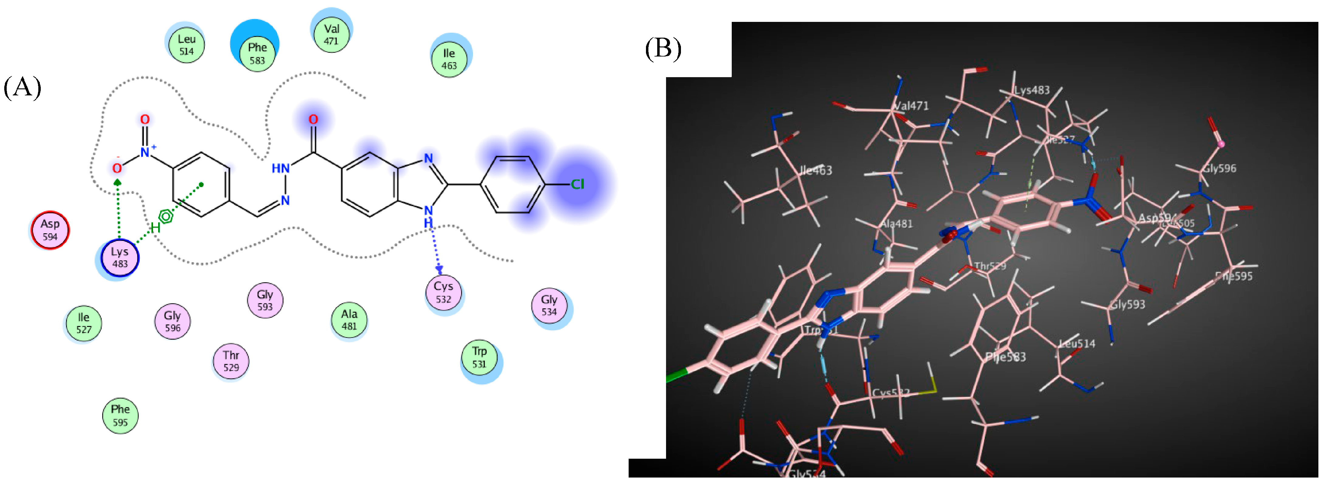 Molecules 29 00446 g010